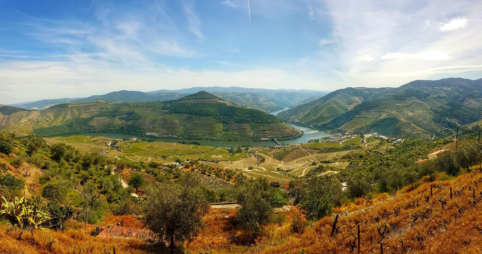 Douro Experience