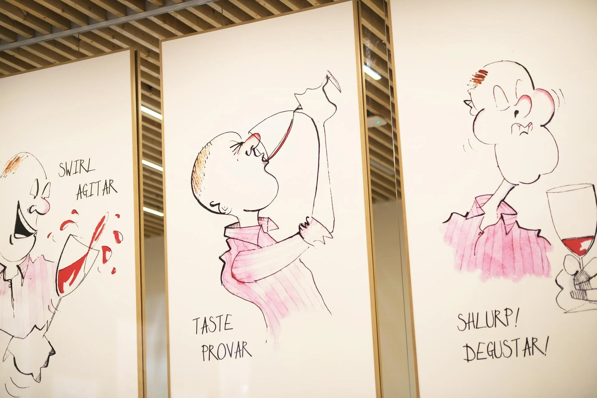 WOW – Wine Experience & Pink Palace