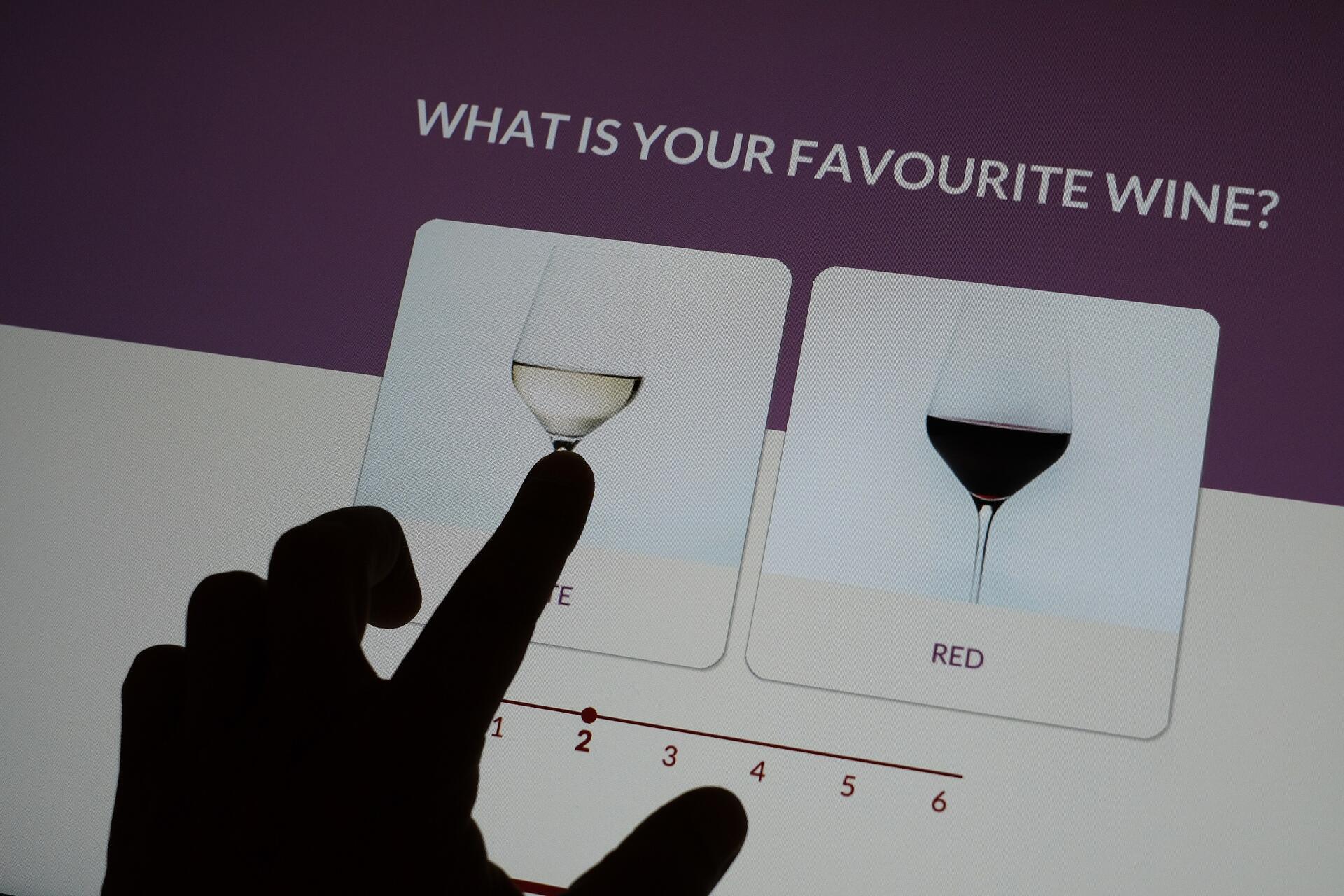 WOW – Wine Experience, Pink Palace & Planet Cork