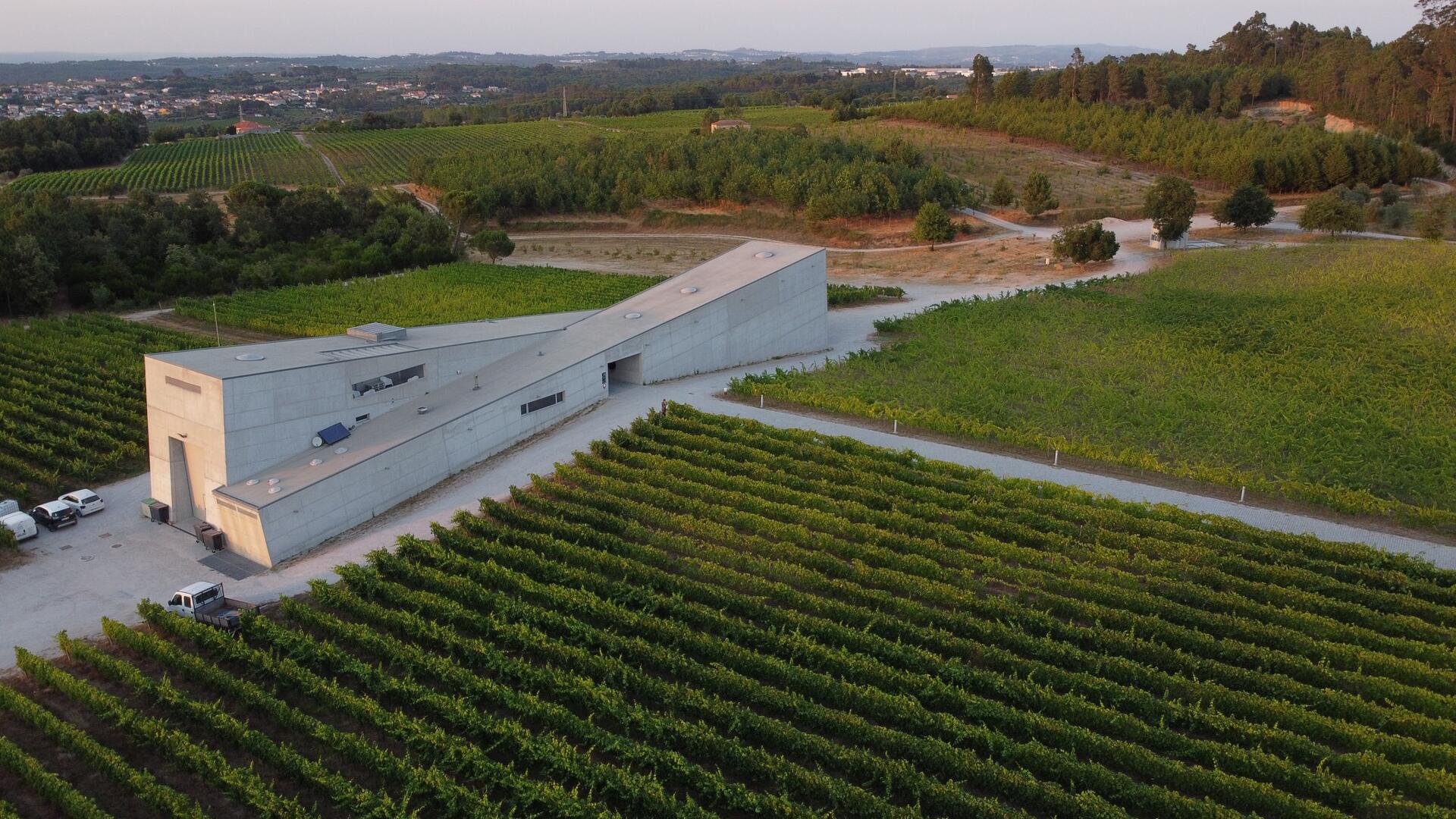 Caminhos Cruzados – Workshop de Culinária