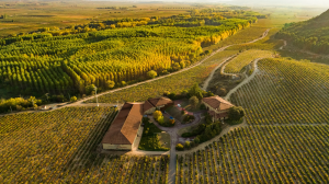 BODEGAS AMÉZOLA DE LA MORA