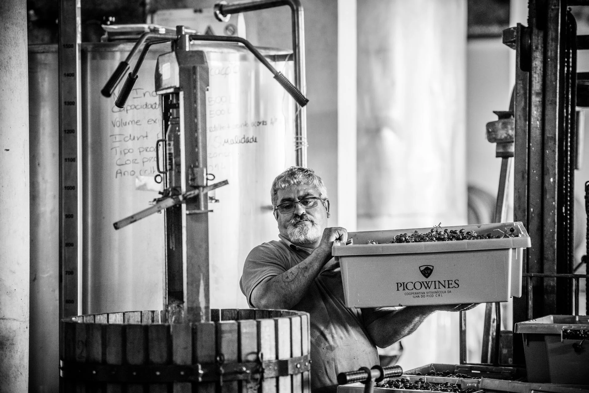 PicoWines – Um, Dois, Terroir