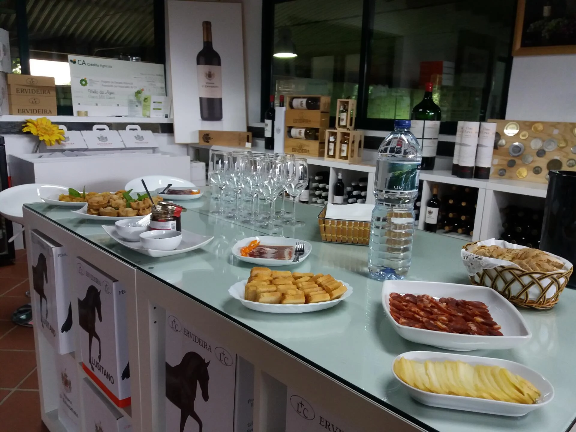 Ervideira – Experiência Lusitano