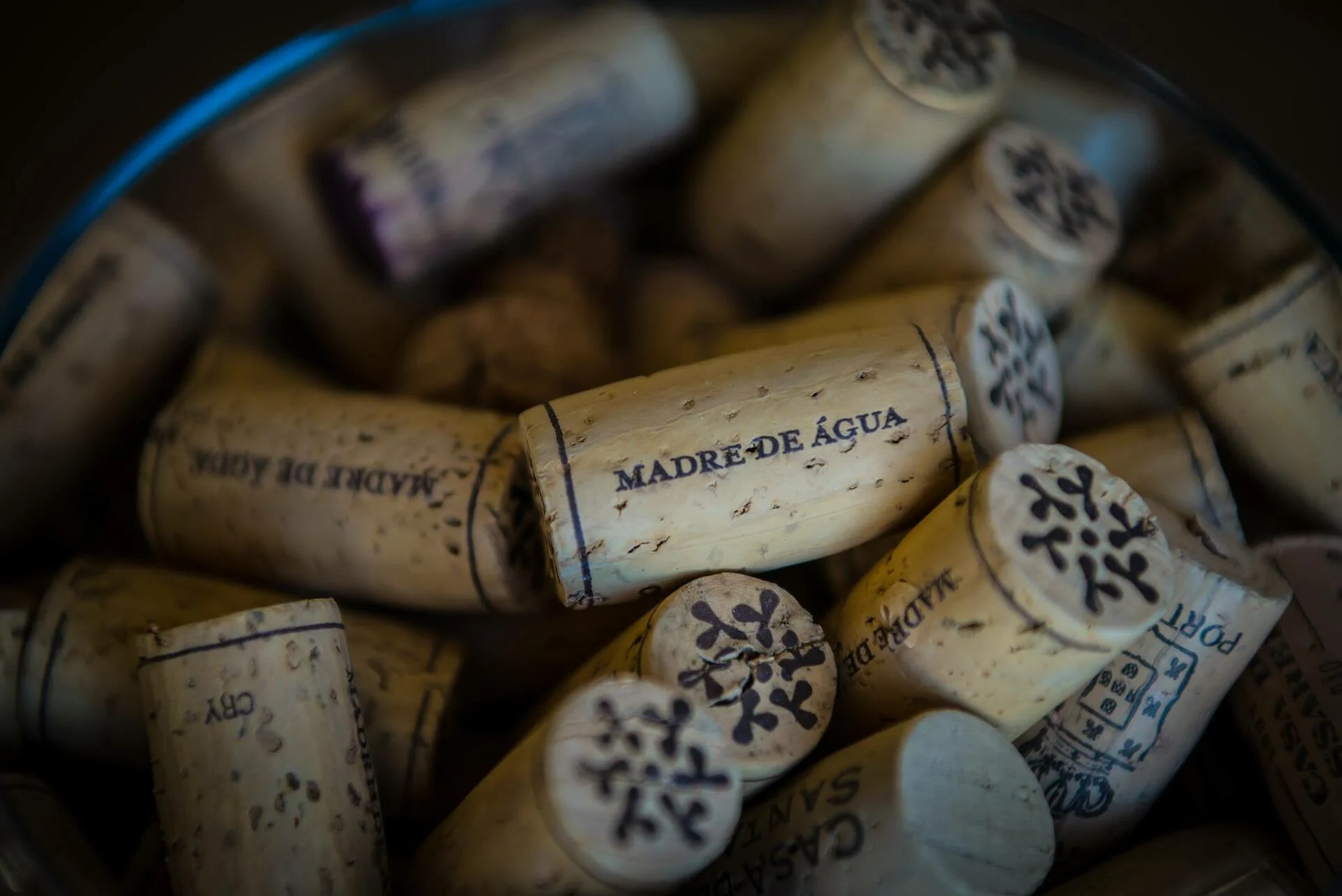 Quinta Madre de Água – Queijos & Vinhos