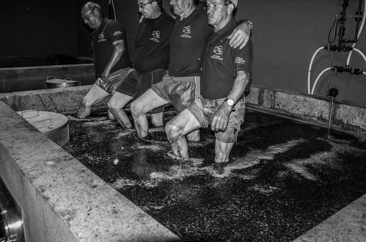 Quinta do Pessegueiro – Visita & Prova Douro