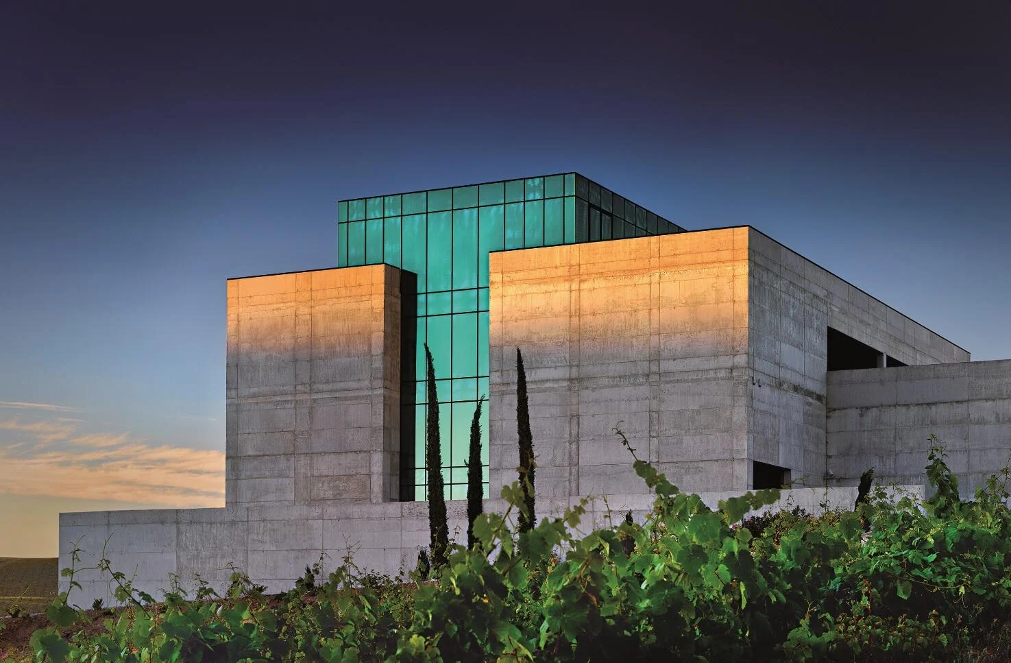 Quinta do Pessegueiro – Visita & Prova Douro