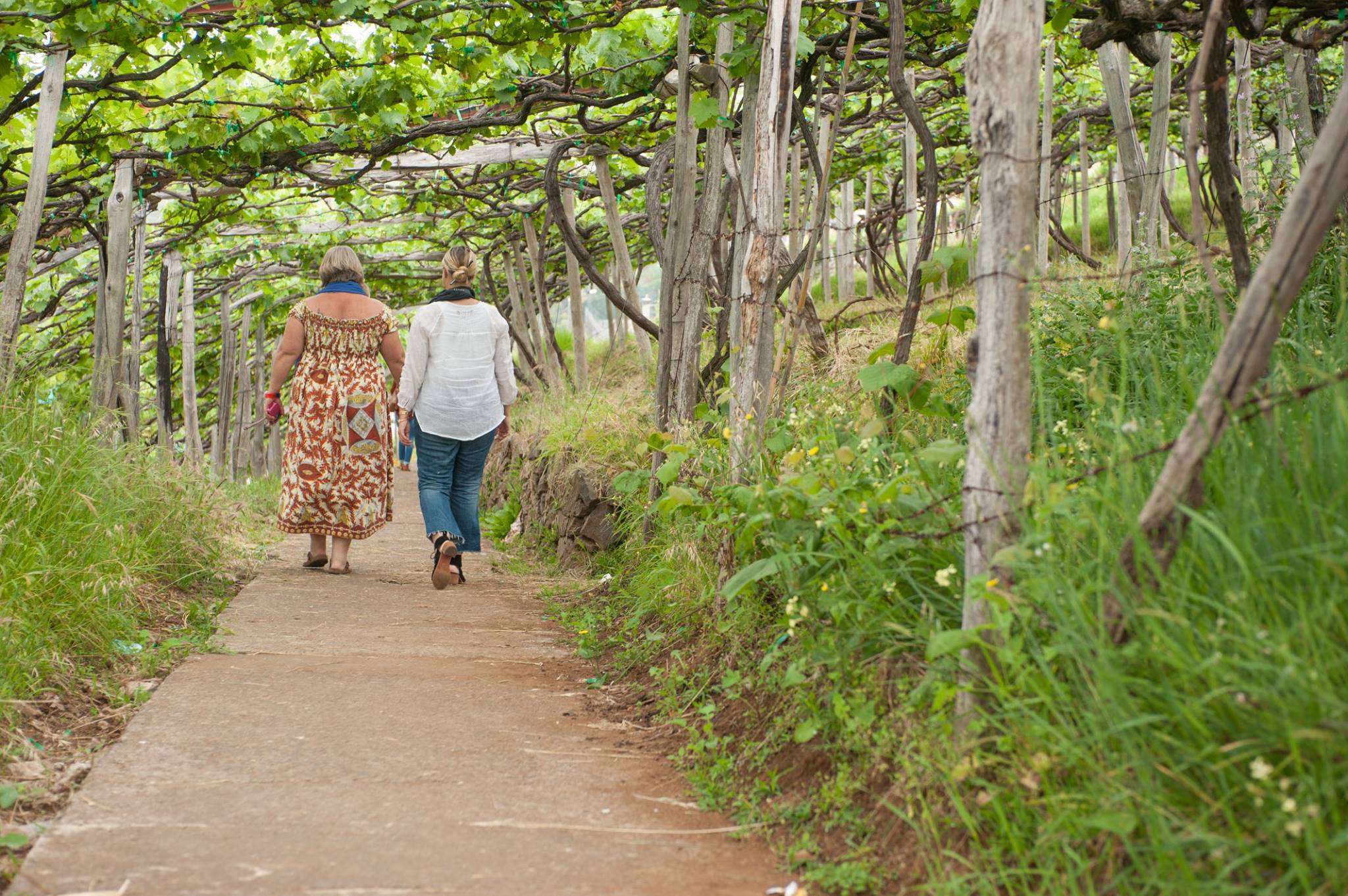 Full Day Wine Tour – Privado