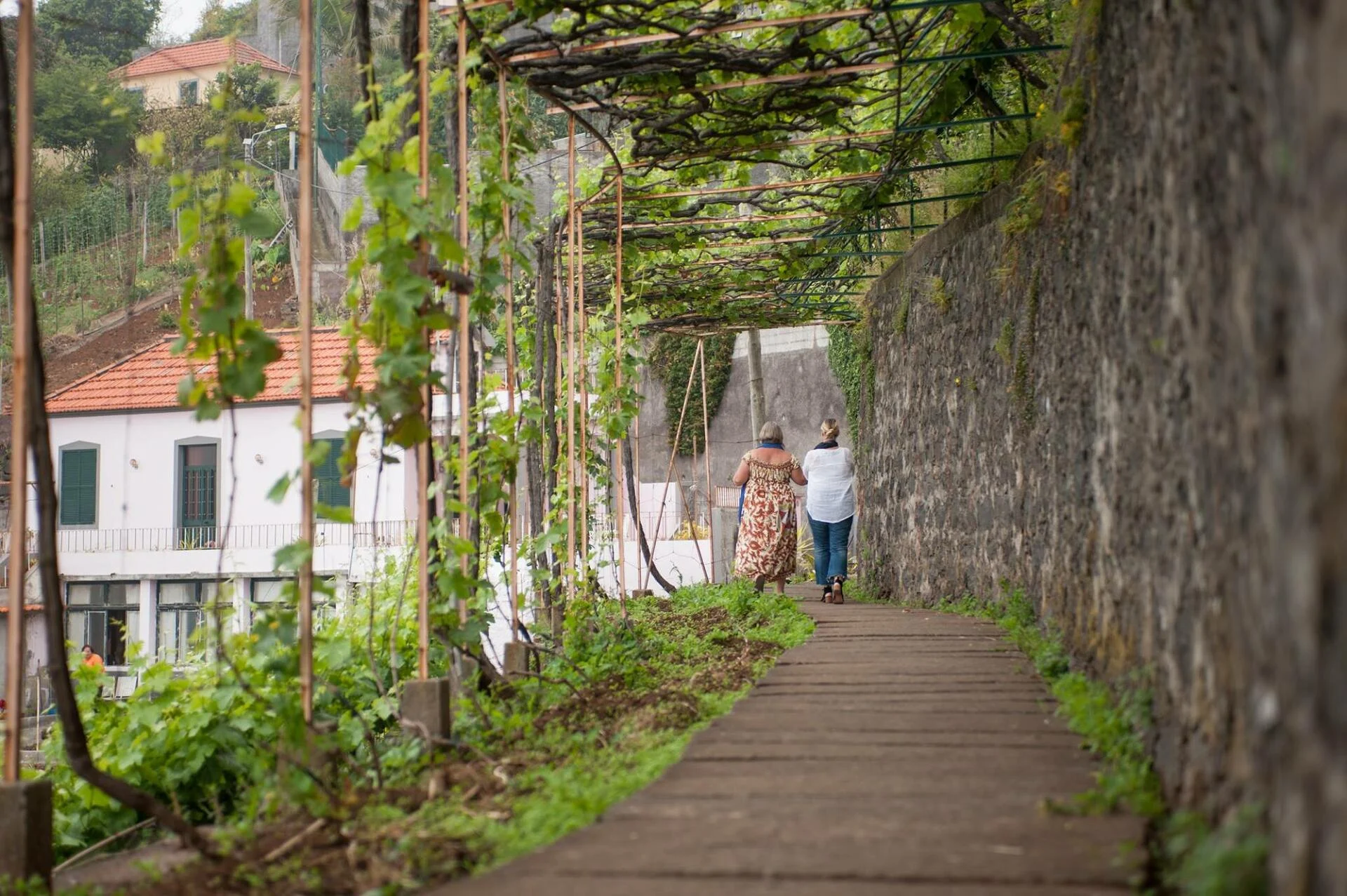 Full Day Wine Tour – Privado