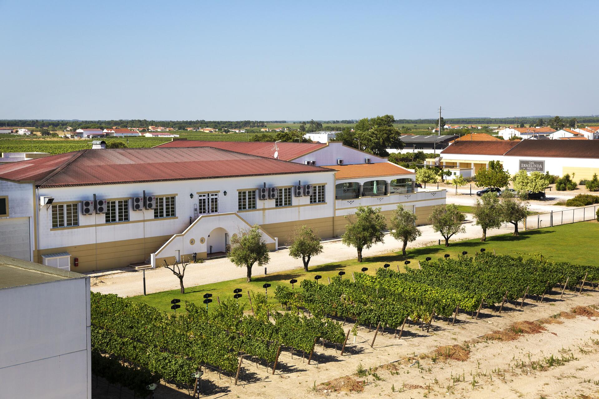 Casa Ermelinda Freitas – Visita & Prova 3 Regiões