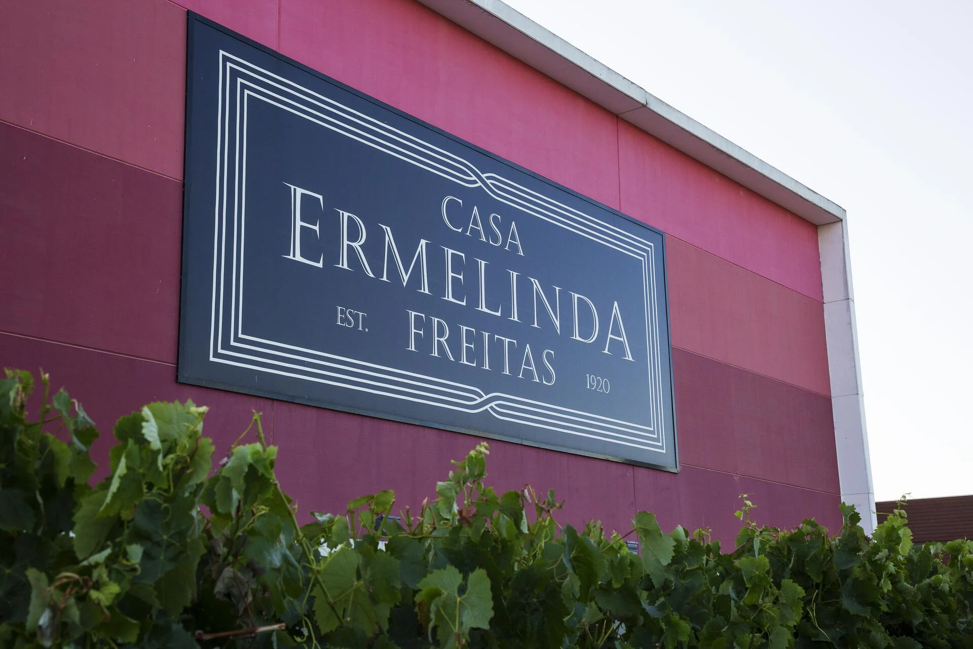 Casa Ermelinda Freitas – Visita & Prova 3 Regiões