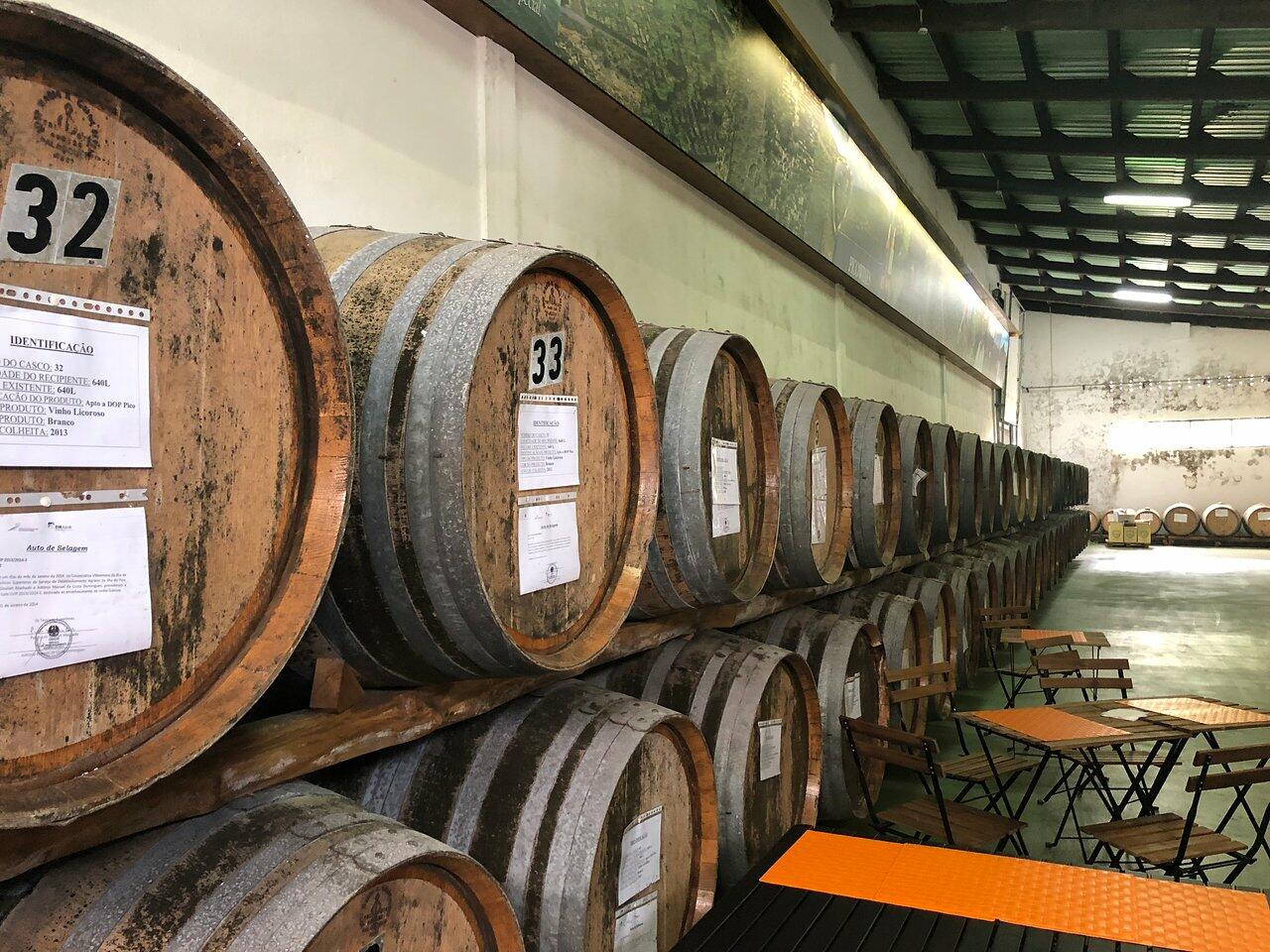 Pico Wine Tour – Meio Dia