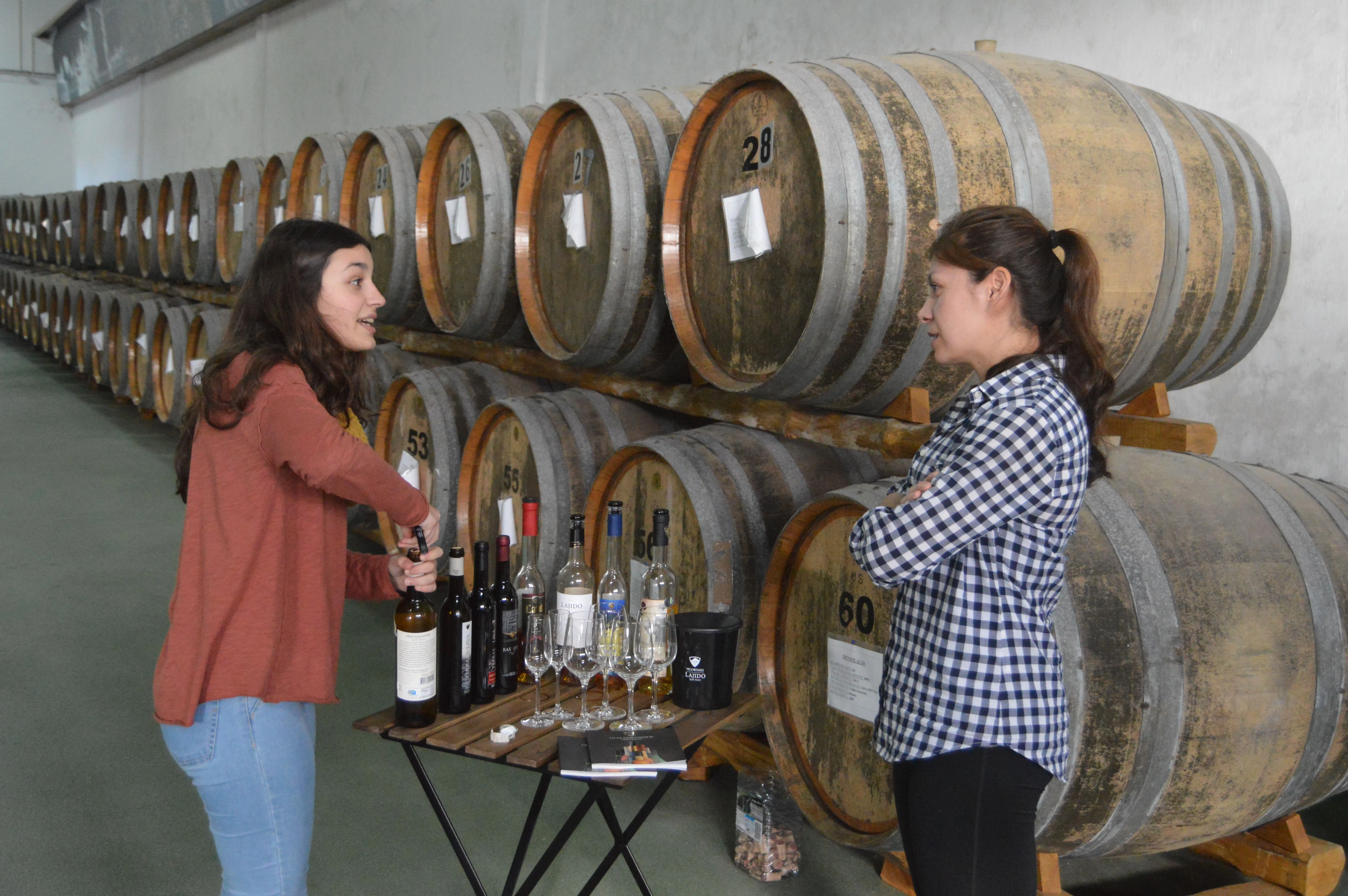 Pico Wine Tour – Meio Dia