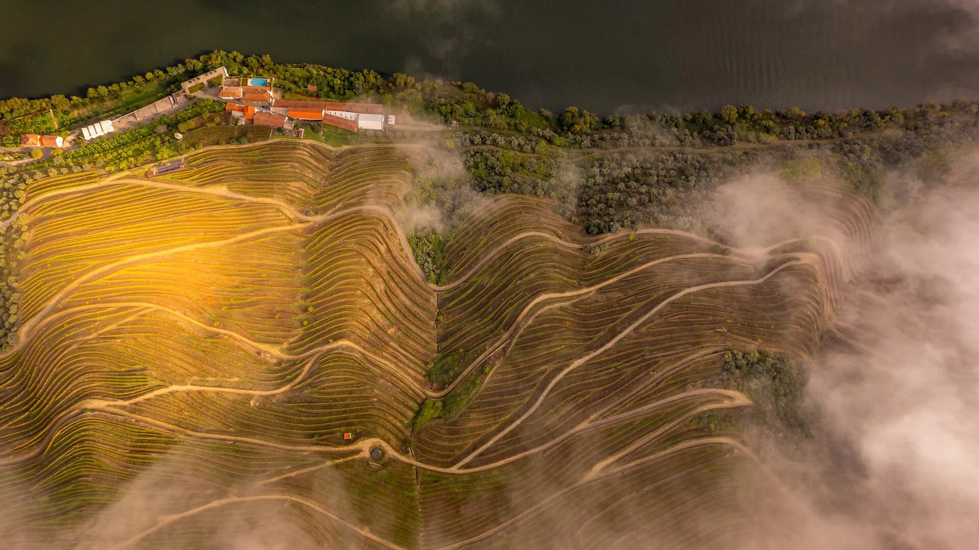 Quinta das Carvalhas – Vintage Tour