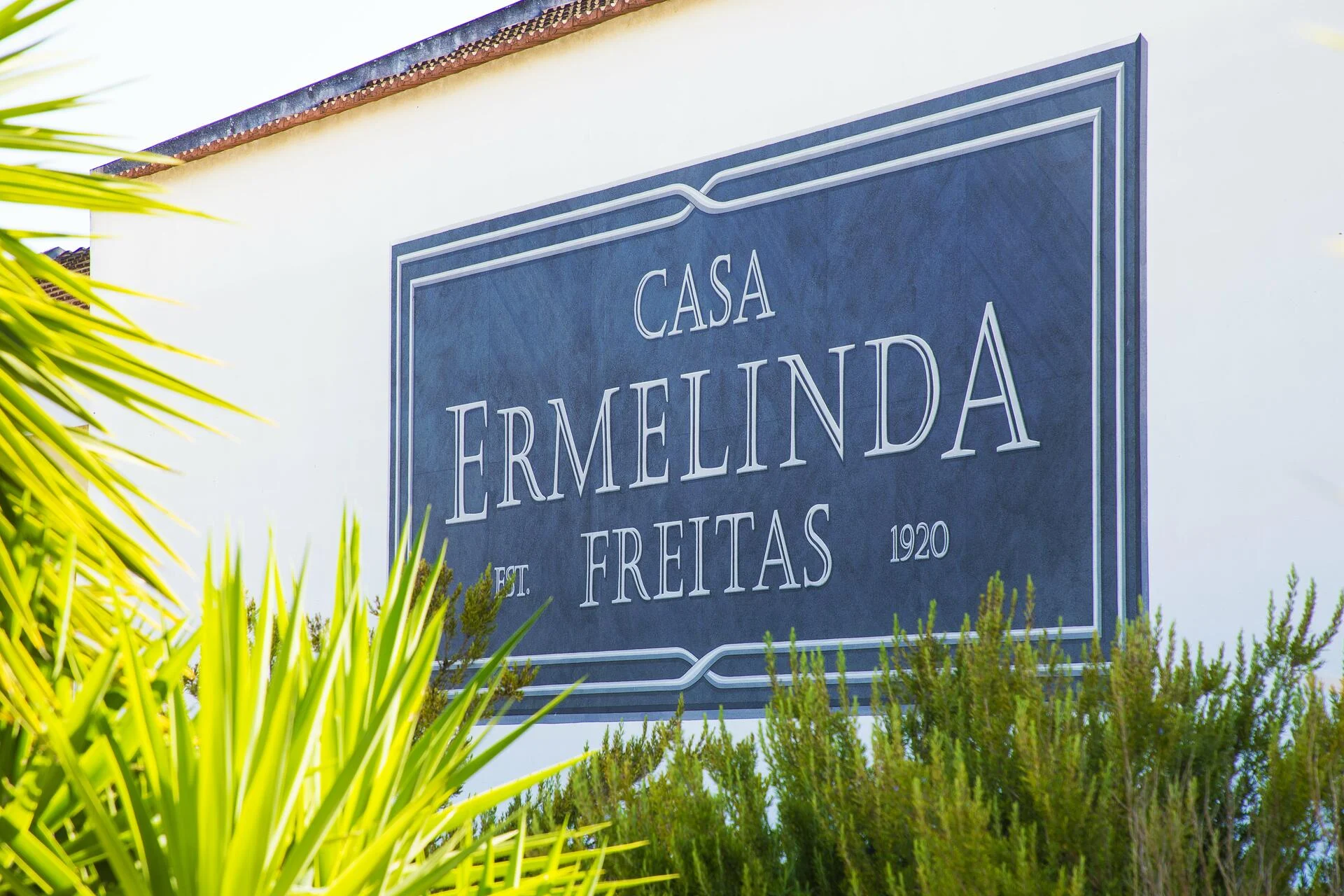 Casa Ermelinda Freitas – Visita Histórica