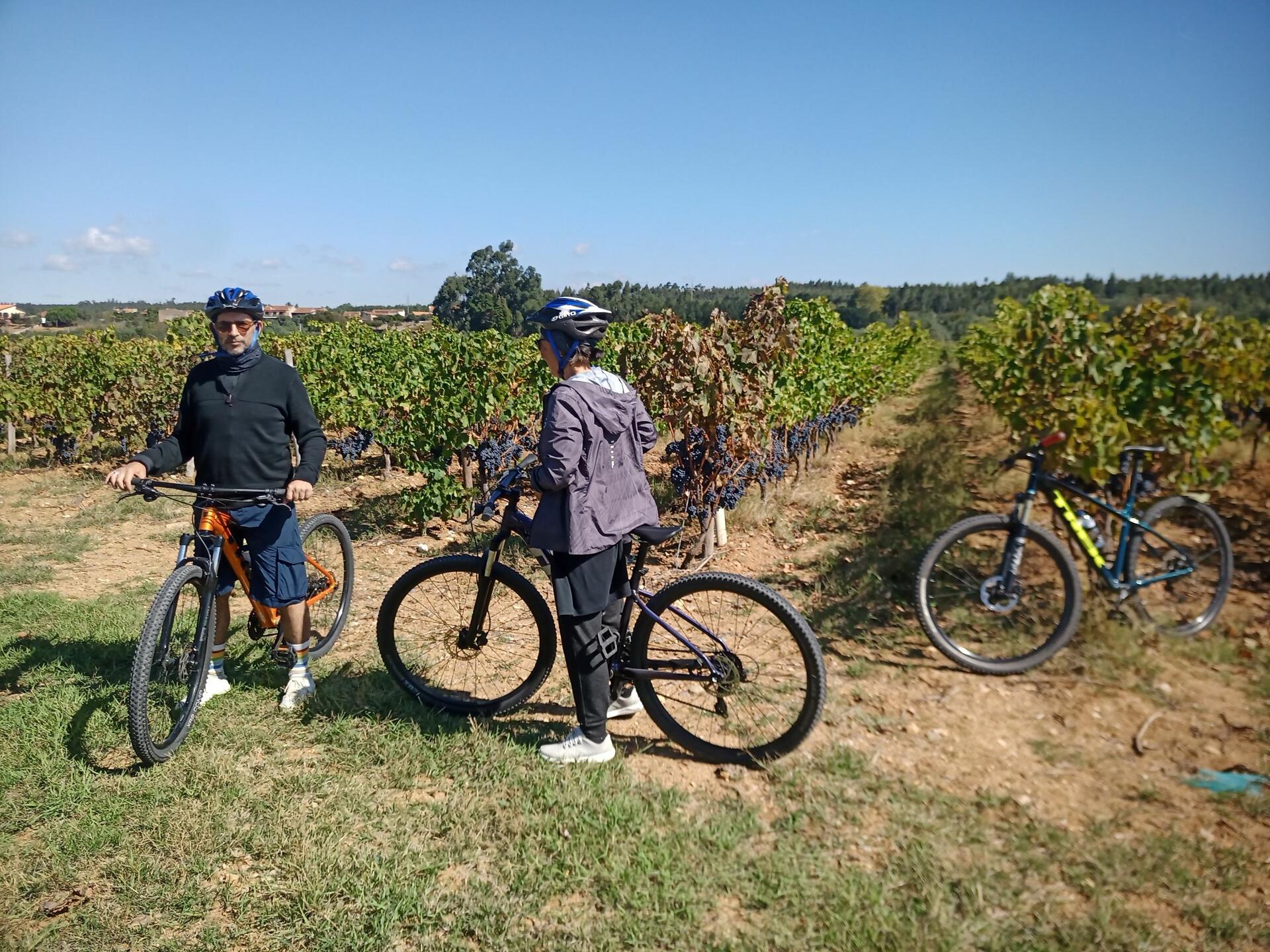 Bike Tour pelos Vinhedos da Rota da Bairrada