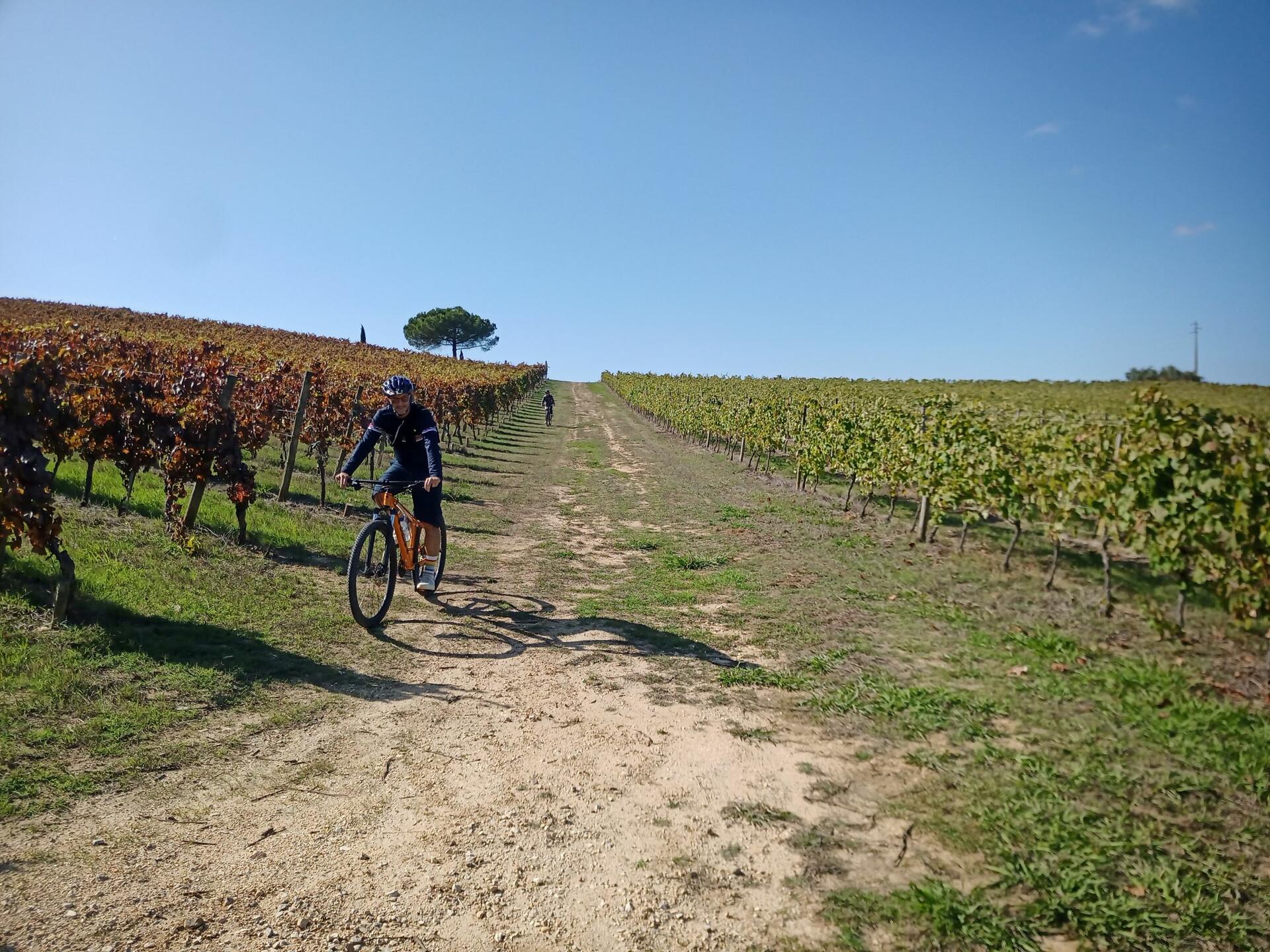 Bike Tour pelos Vinhedos da Rota da Bairrada