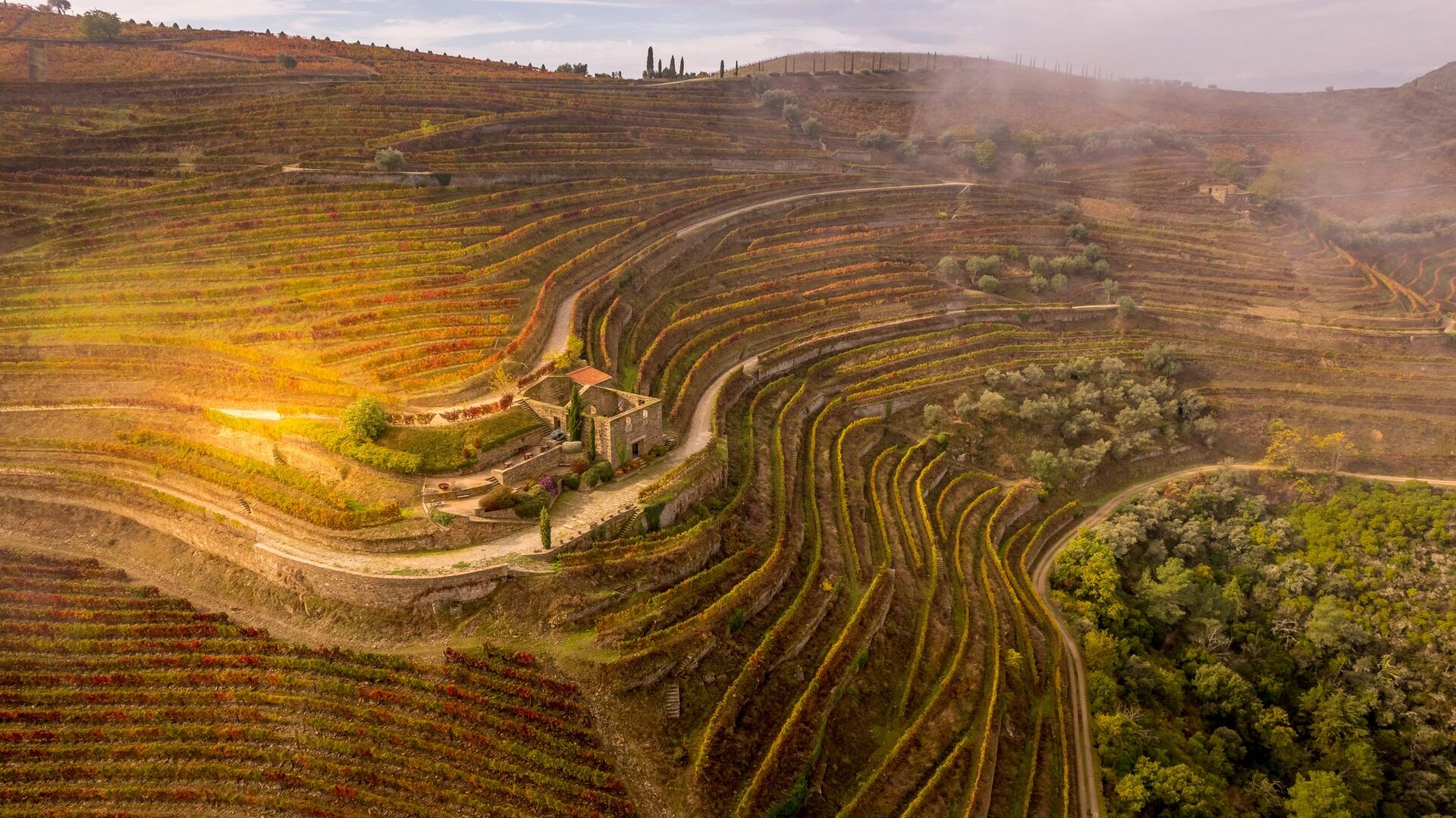 Quinta das Carvalhas – Exclusive Tour