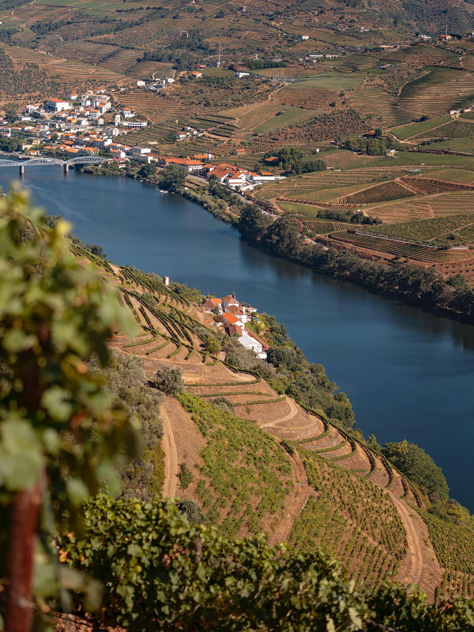 Quinta das Carvalhas – Exclusive Tour