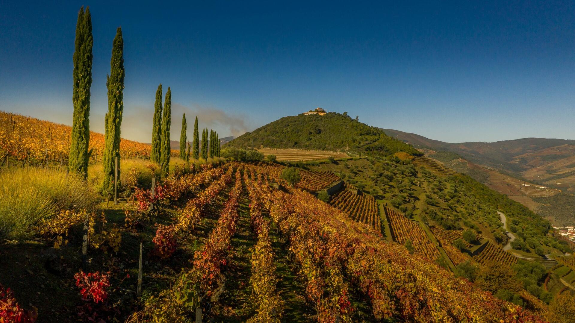Quinta das Carvalhas – Ruin With a View
