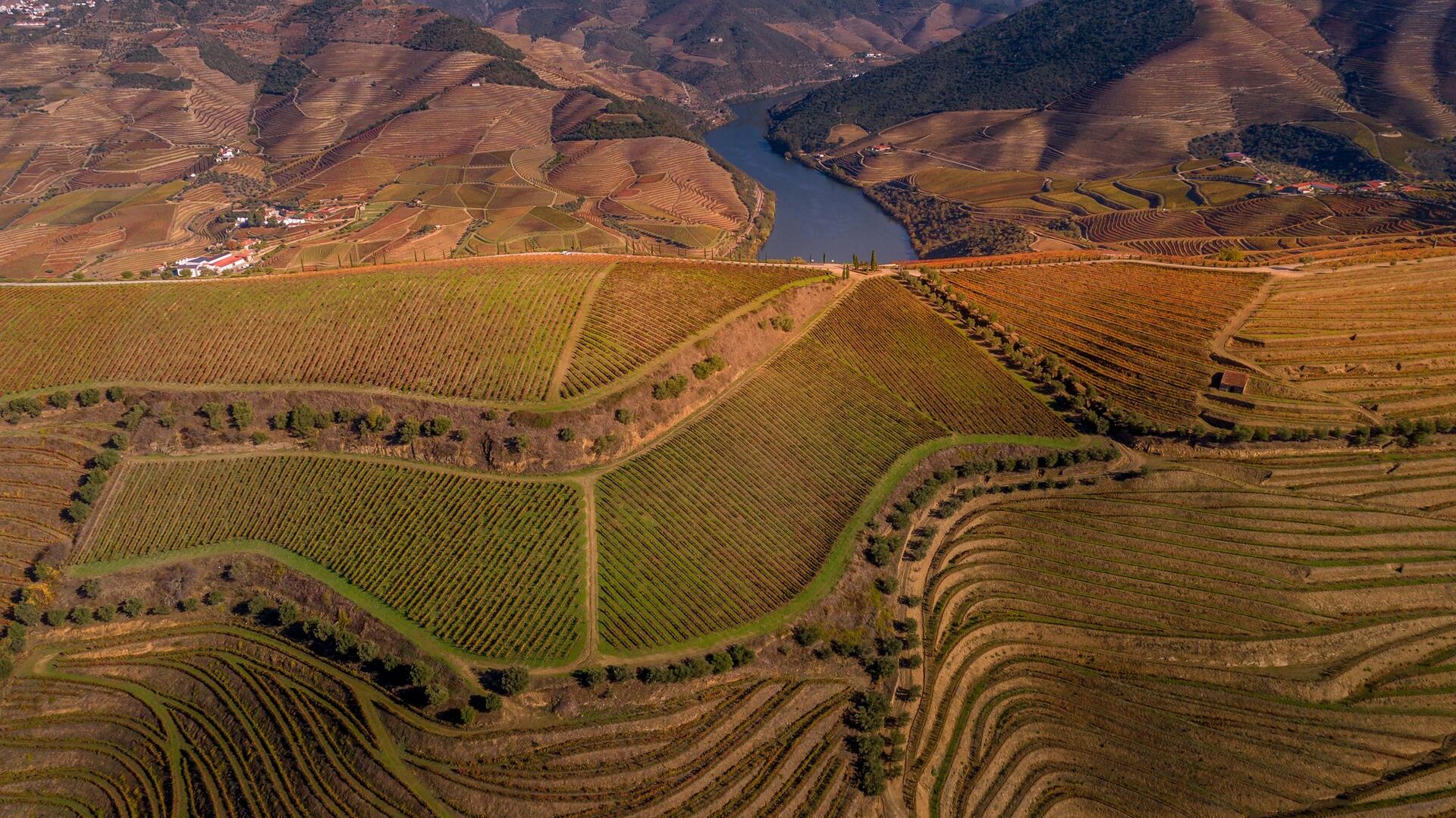 Quinta das Carvalhas – Ruin With a View
