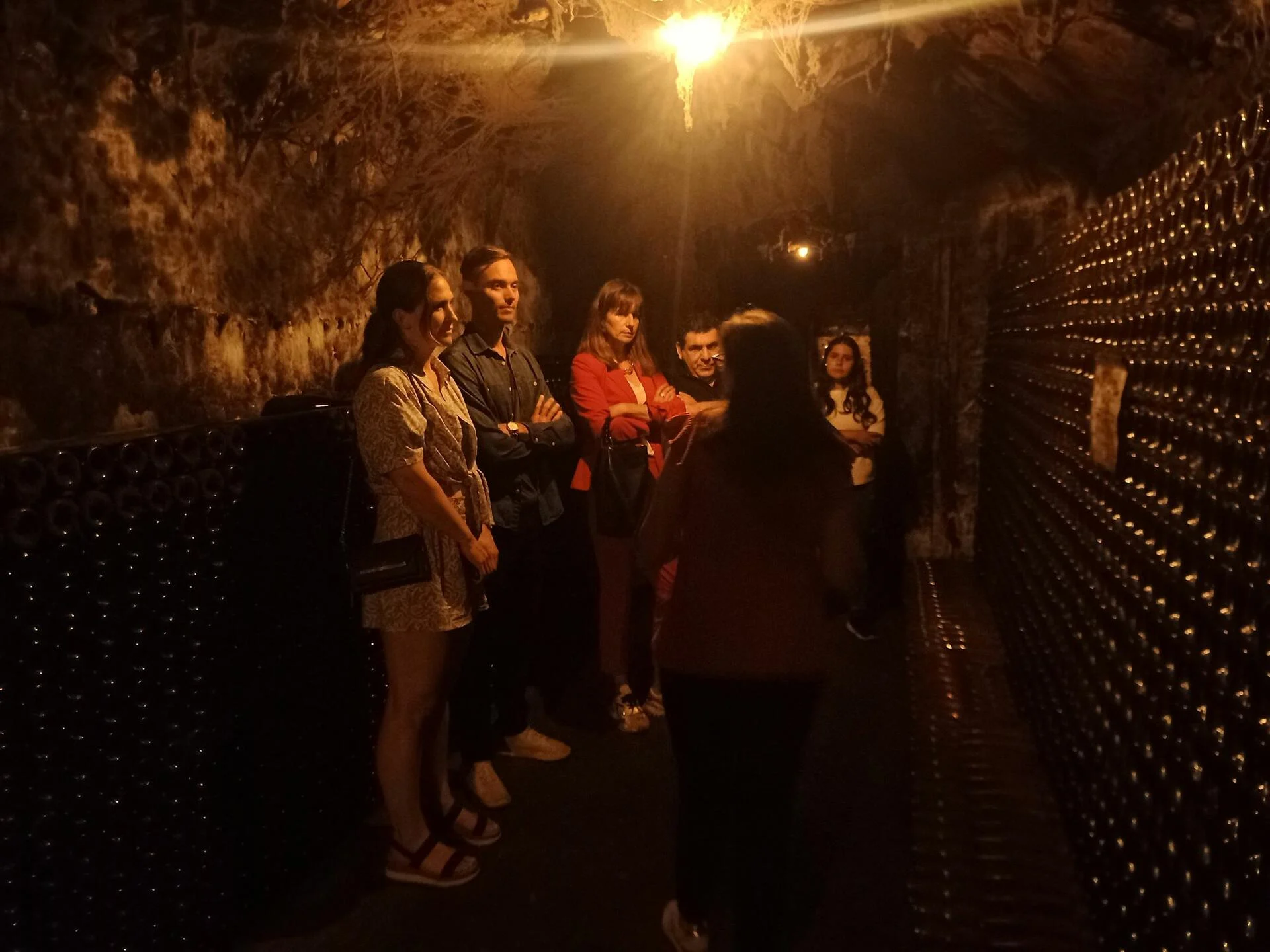 Rota dos Vinhos da Bairrada