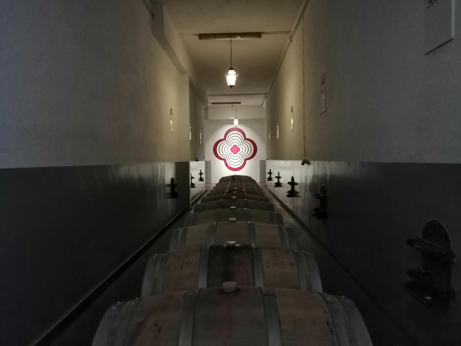 Rota dos Vinhos do Dão