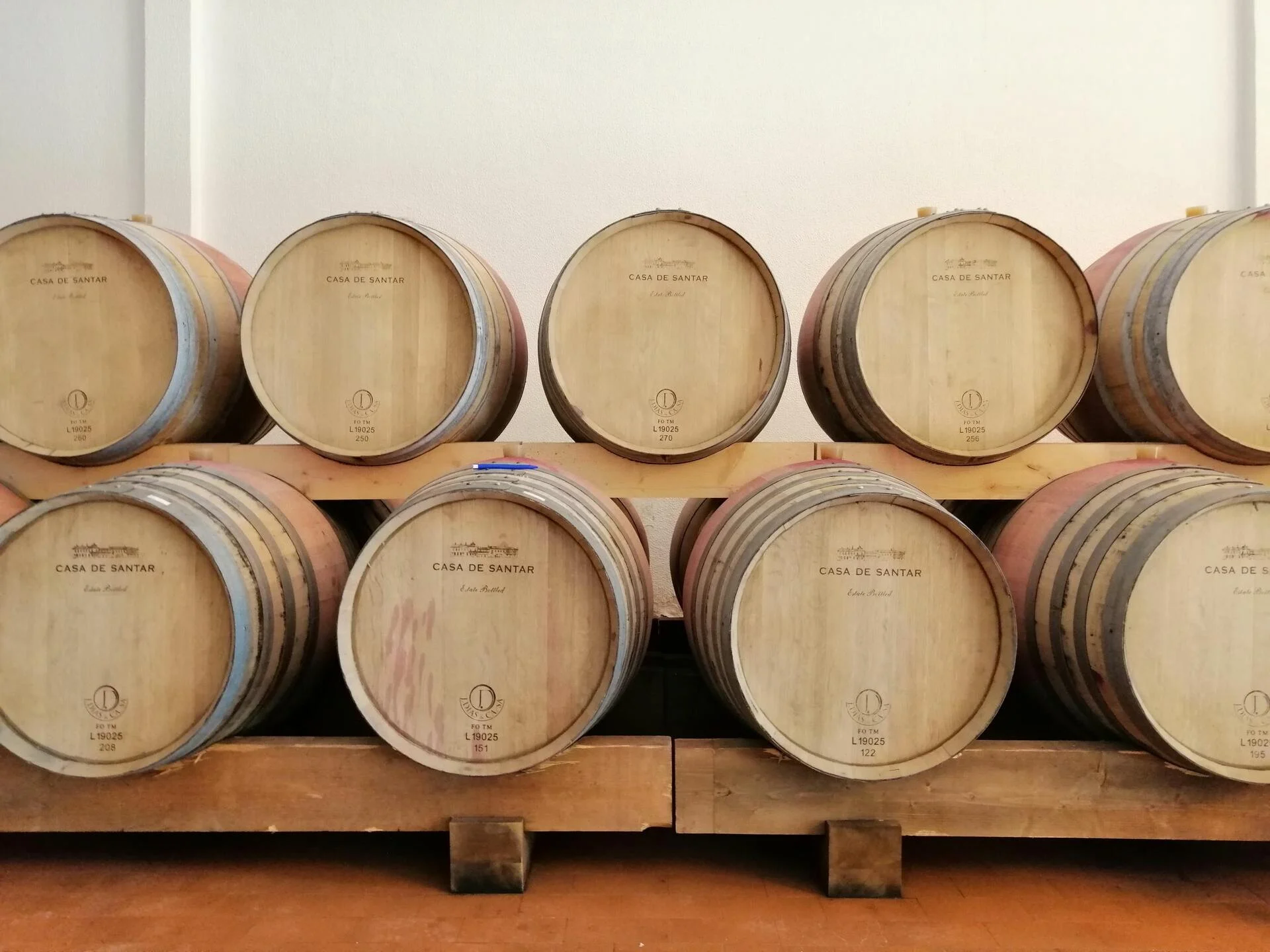 Rota dos Vinhos do Dão