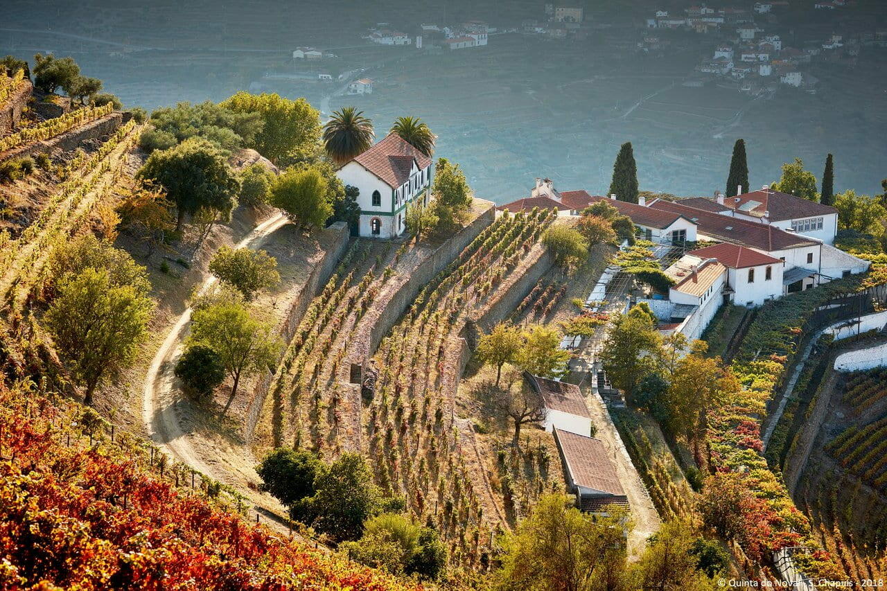 Quinta do Noval – Meio Dia na Quinta