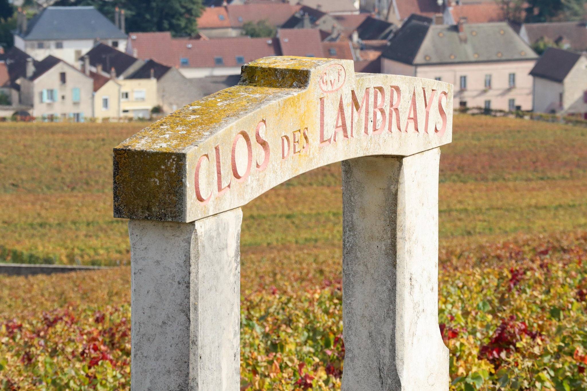 Safari on the Côte de Nuits with tasting