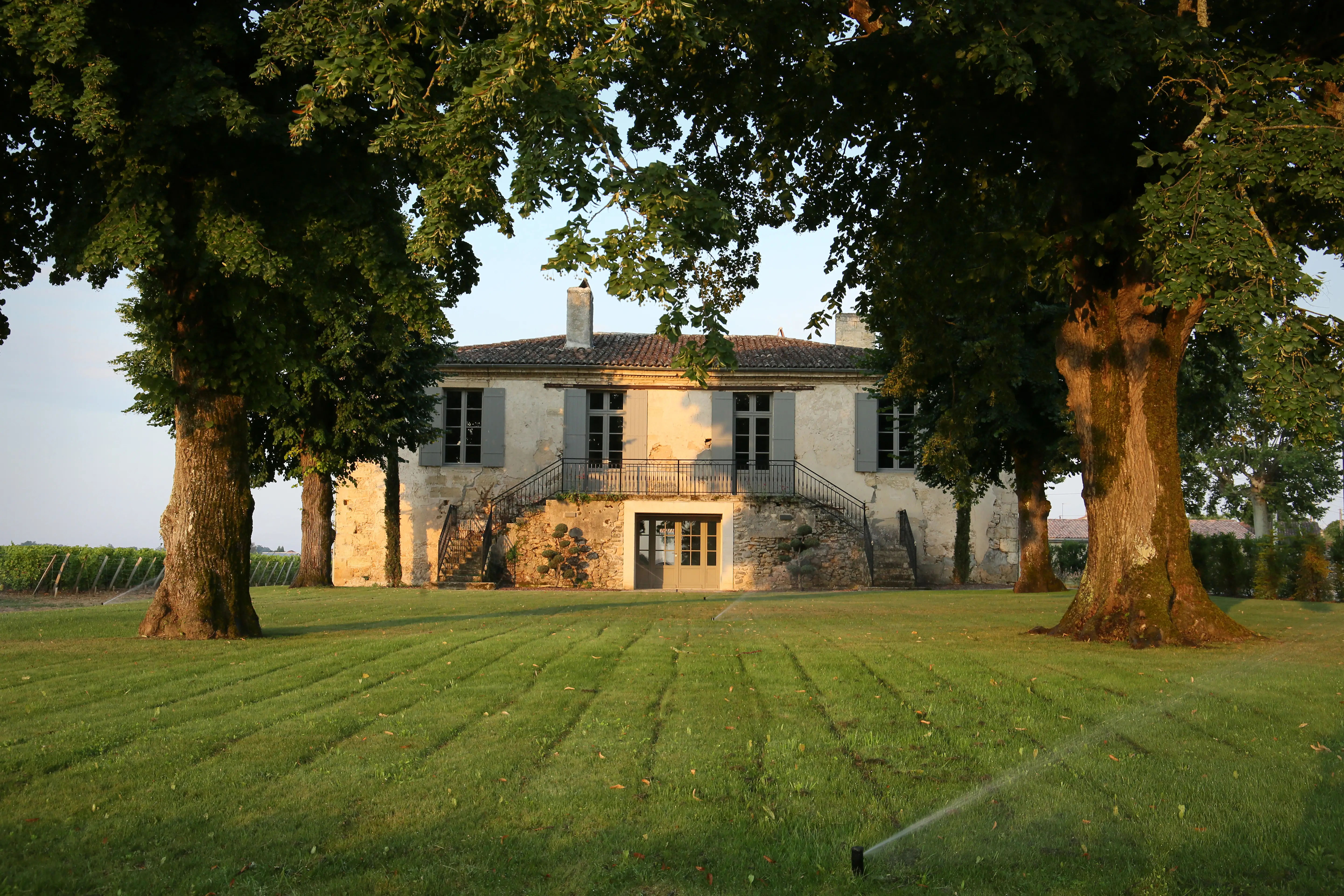 Visit & tasting at Château Doisy Daëne