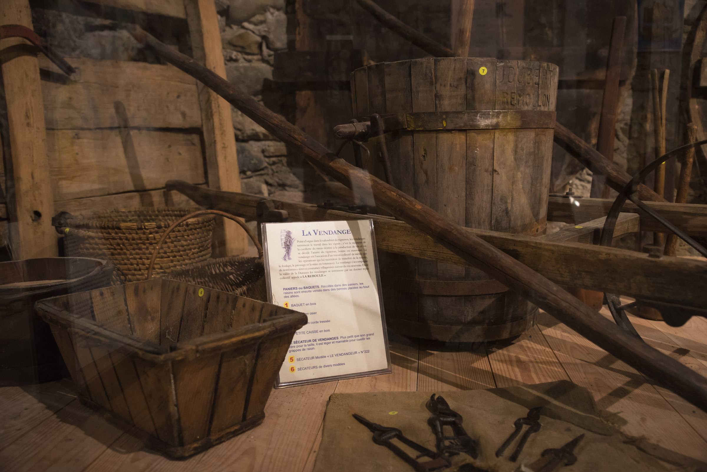 Guided tour of the museum and tasting