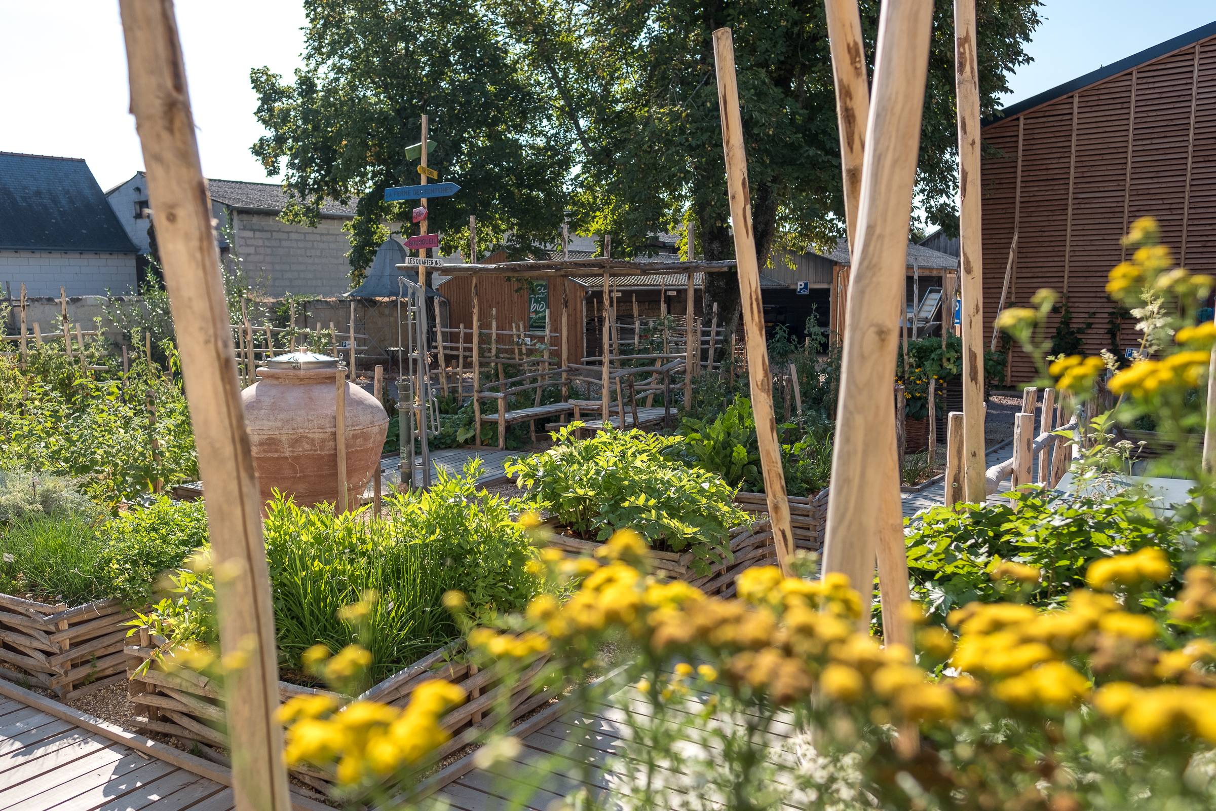 Oeno-Rallye: treasure hunt between vineyards and cellar