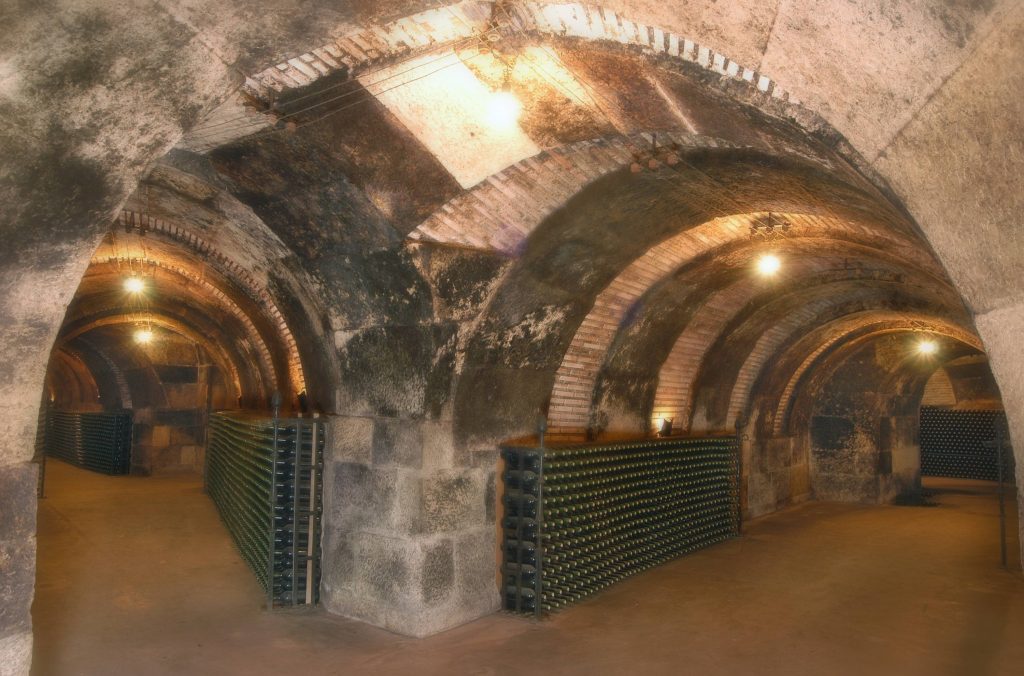 Exclusive Visit of the Winery