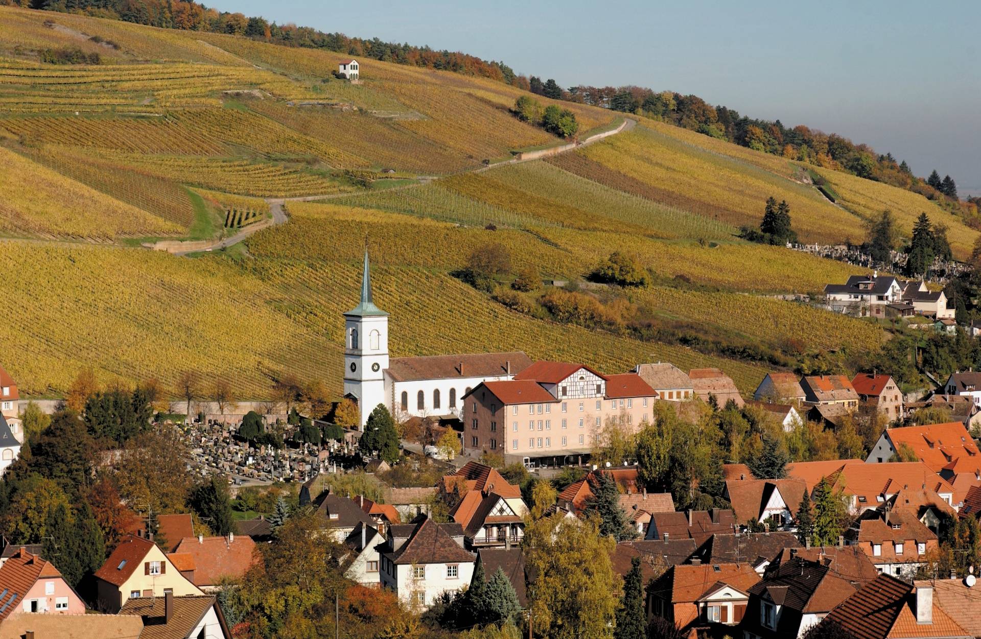 Walk in the vineyards