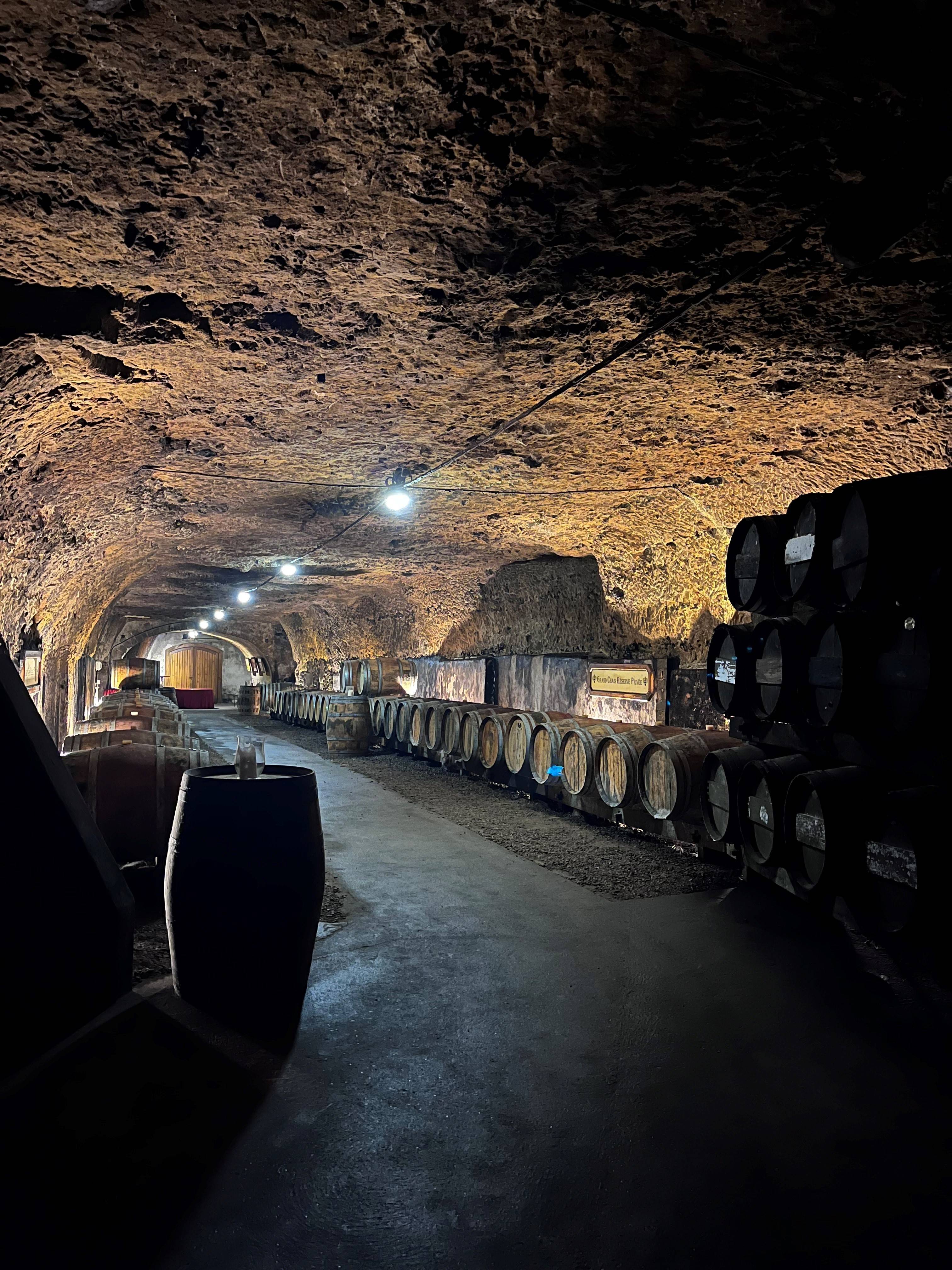 Visit and tasting at the Pavillon Fines Bulles