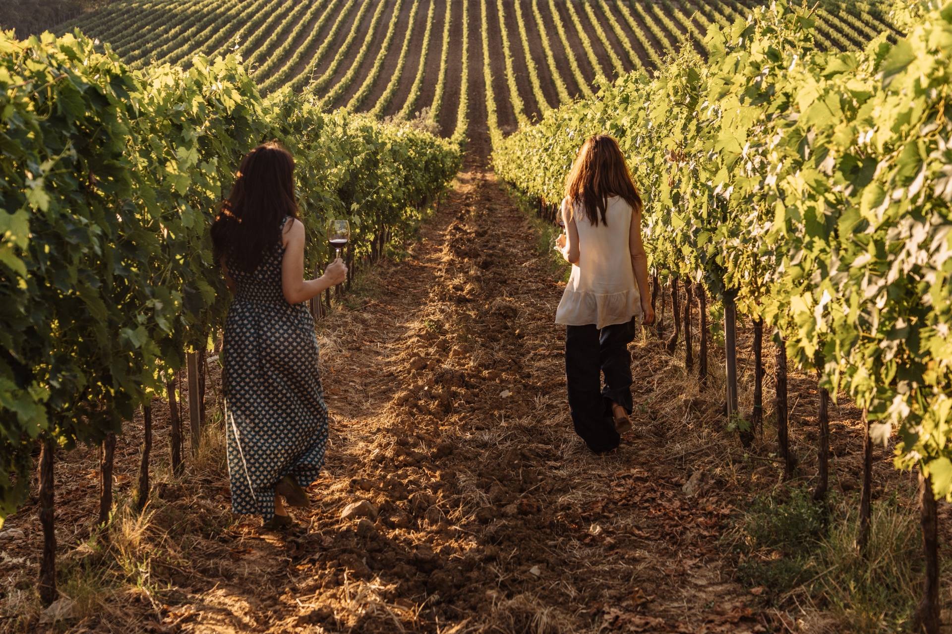 Picnic in the Vineyard