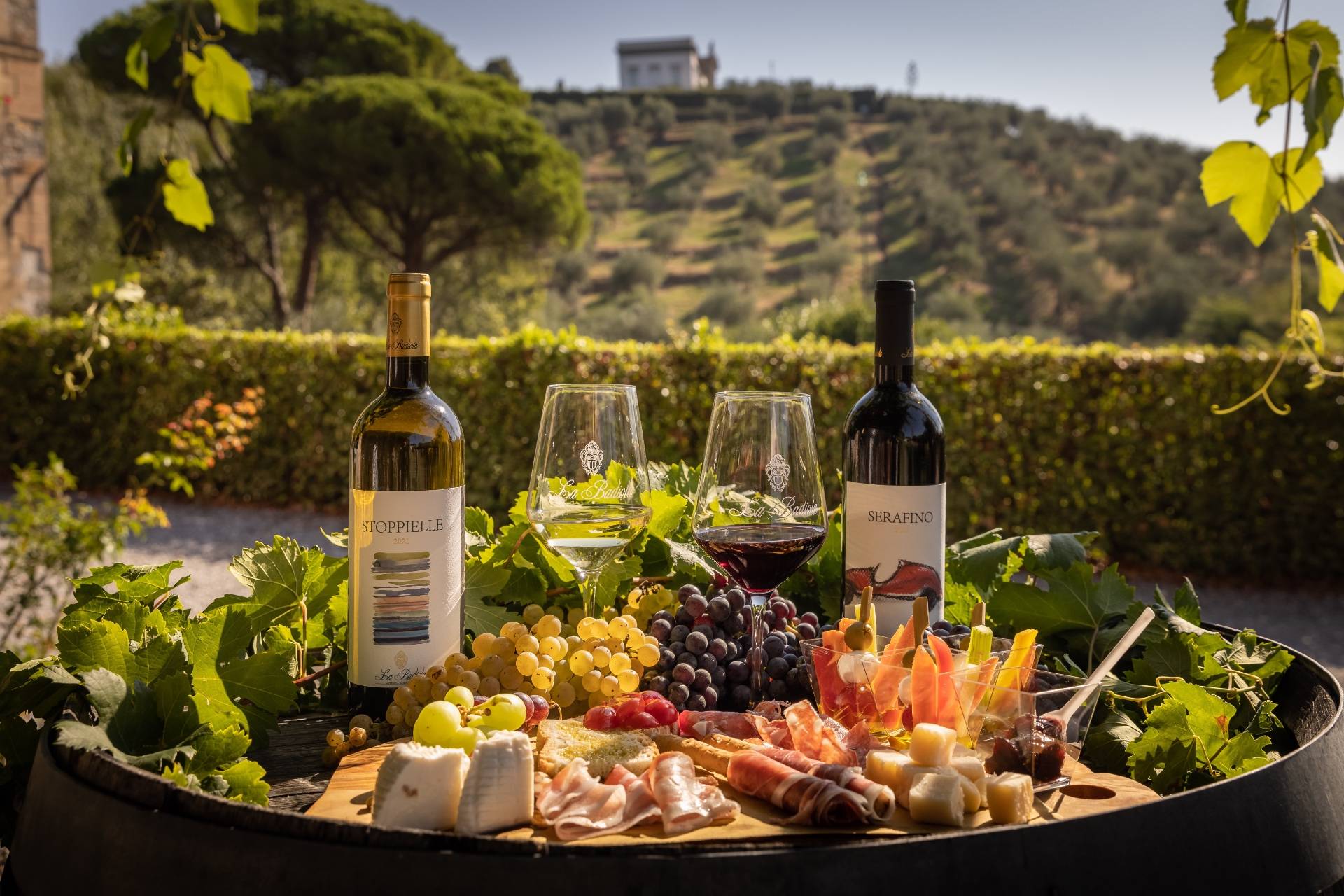 Wine Tour La Badiola