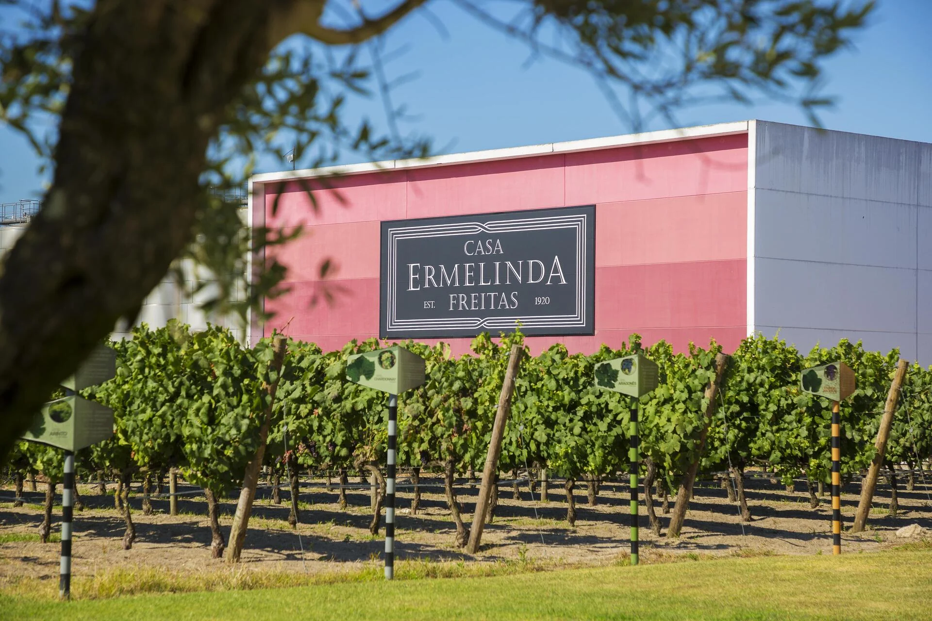 Casa Ermelinda Freitas – Visita & Prova Monocastas