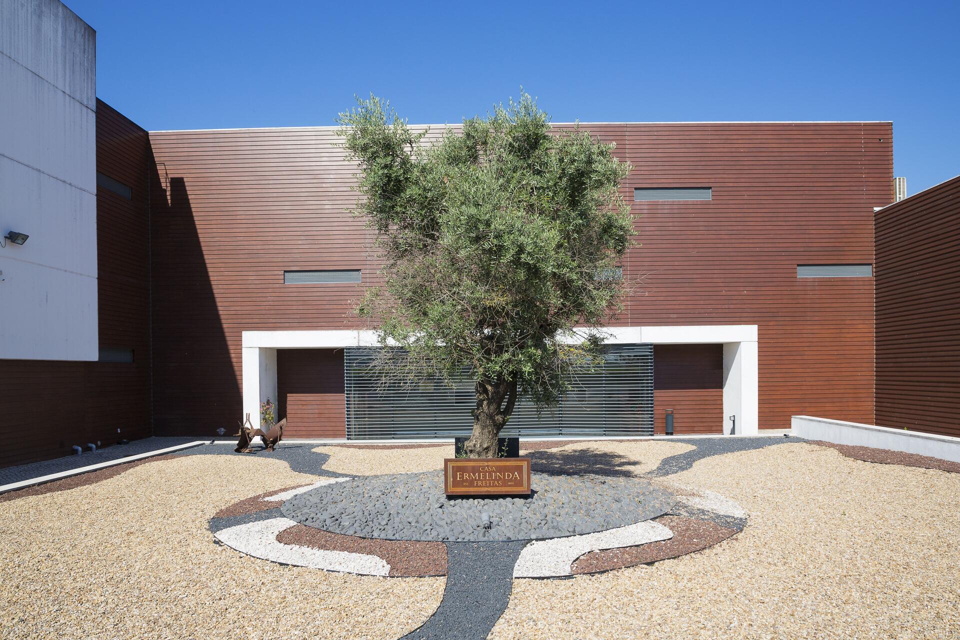 Casa Ermelinda Freitas – Visita & Prova Monocastas