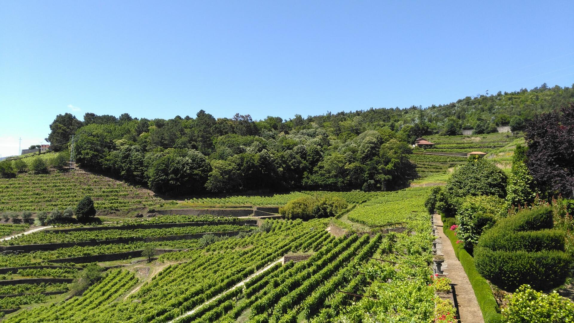 Quinta de Santa Júlia – Hands on Cooking Class