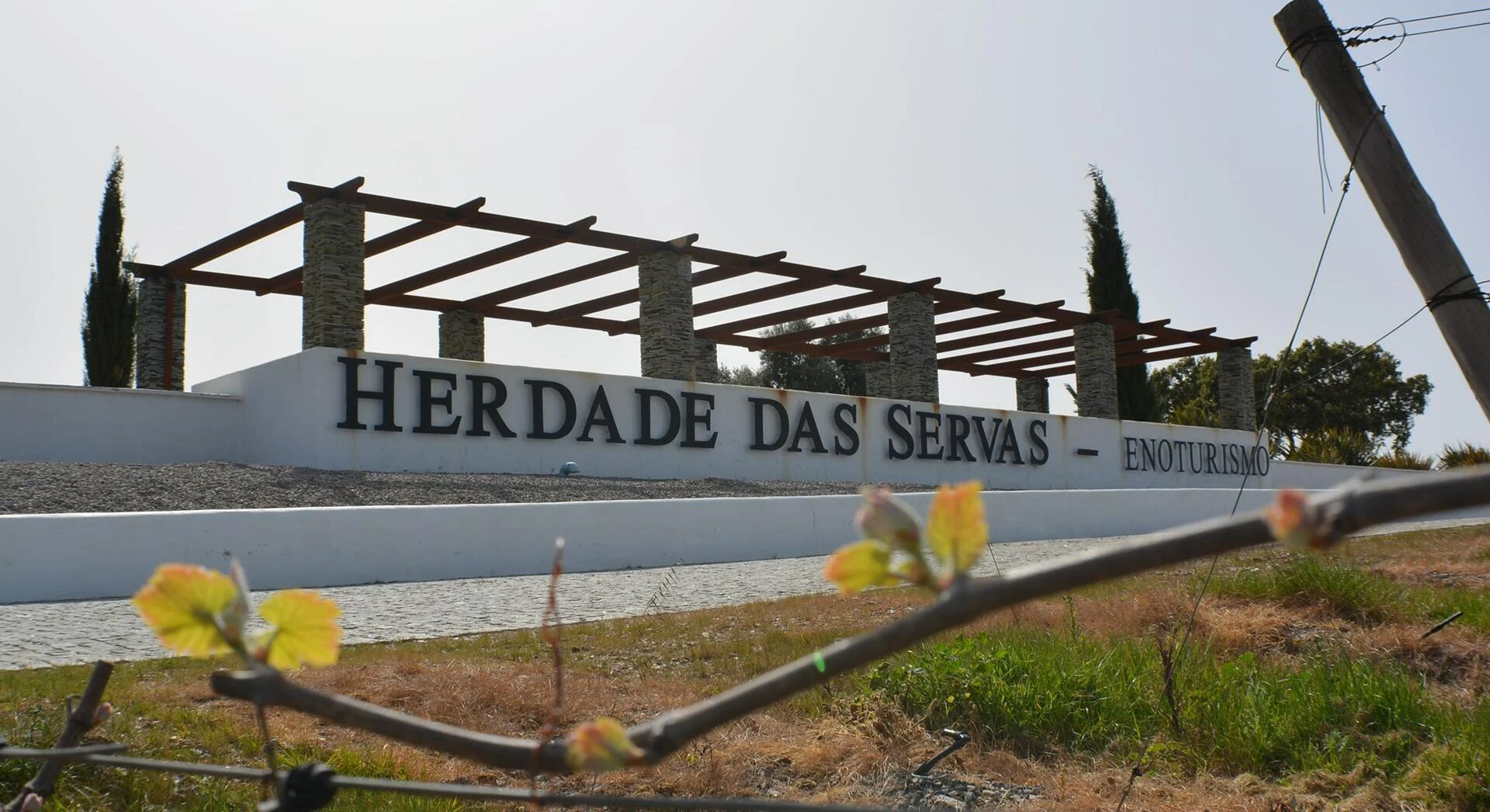 Herdade das Servas – Visita & Almoço Regional