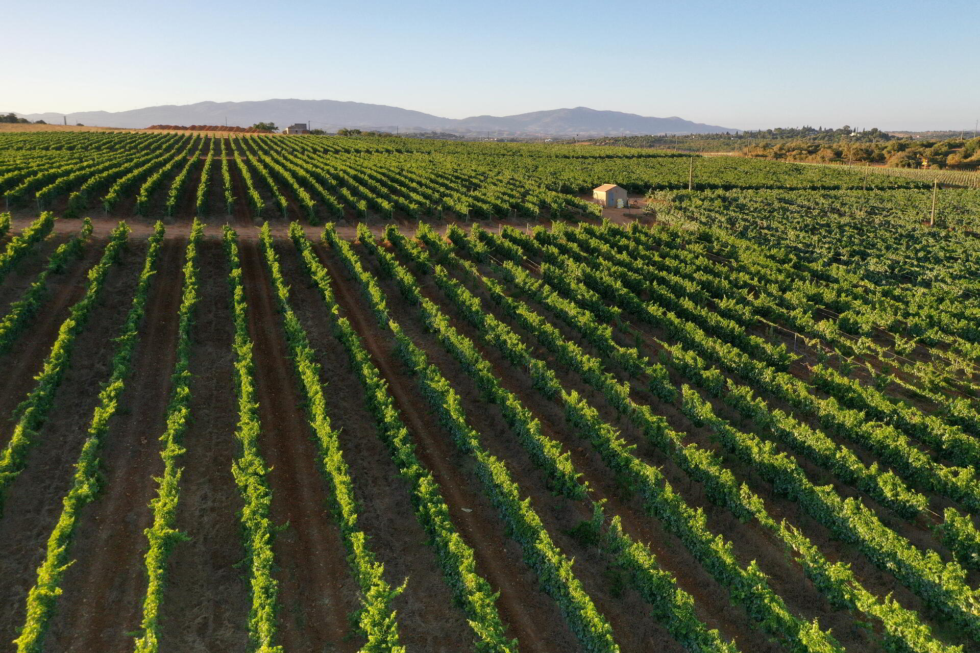 Villa Alvor – Prova “ALL Alvor”