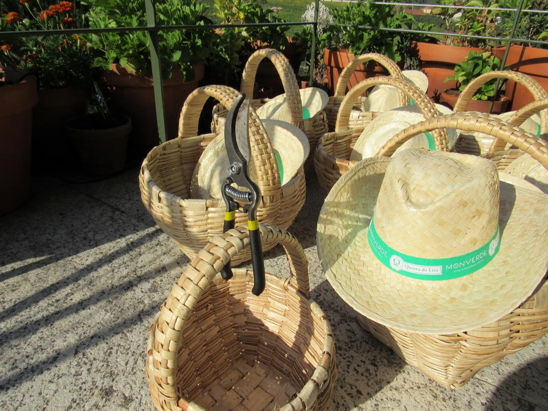 Monverde – Explorer Experience