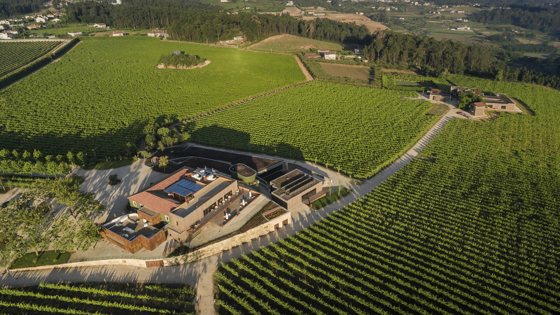 Monverde – Explorer Experience