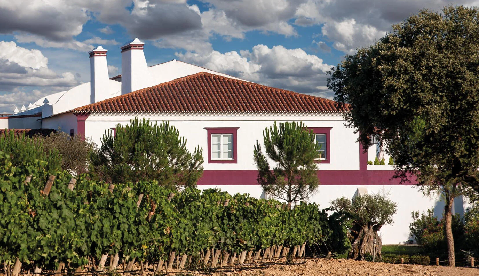 Herdade das Servas – Prova Cega