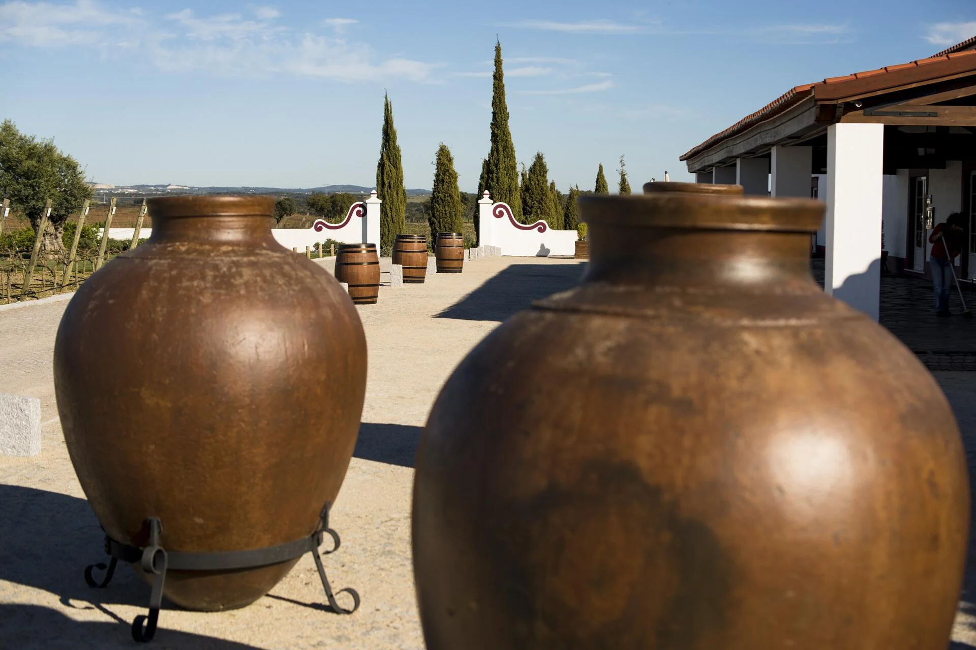 Herdade das Servas – Prova Cega