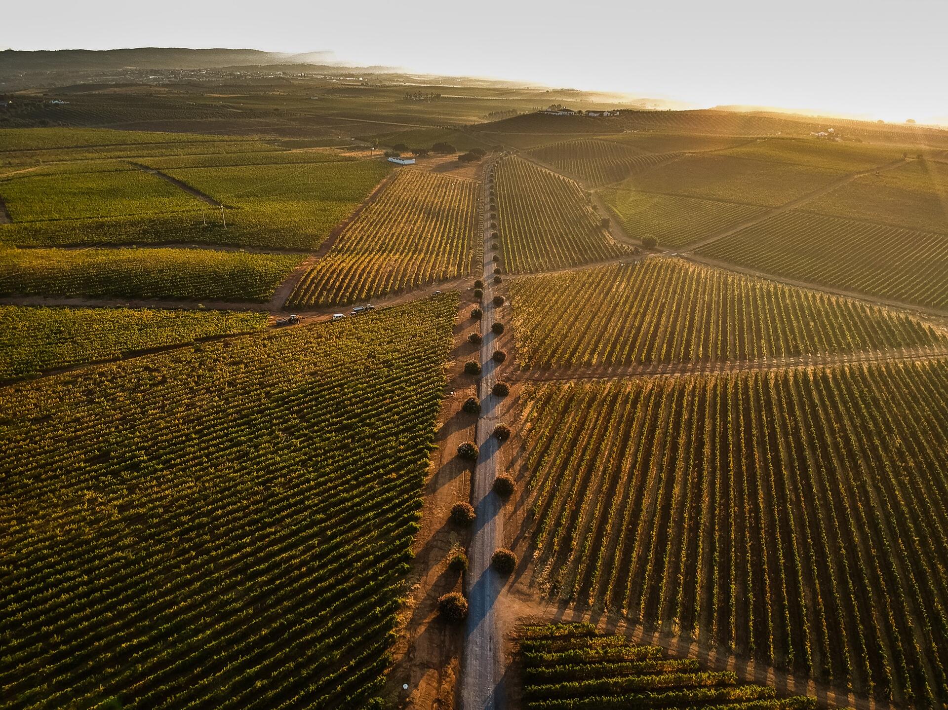 Herdade Grande – Prova de Verão