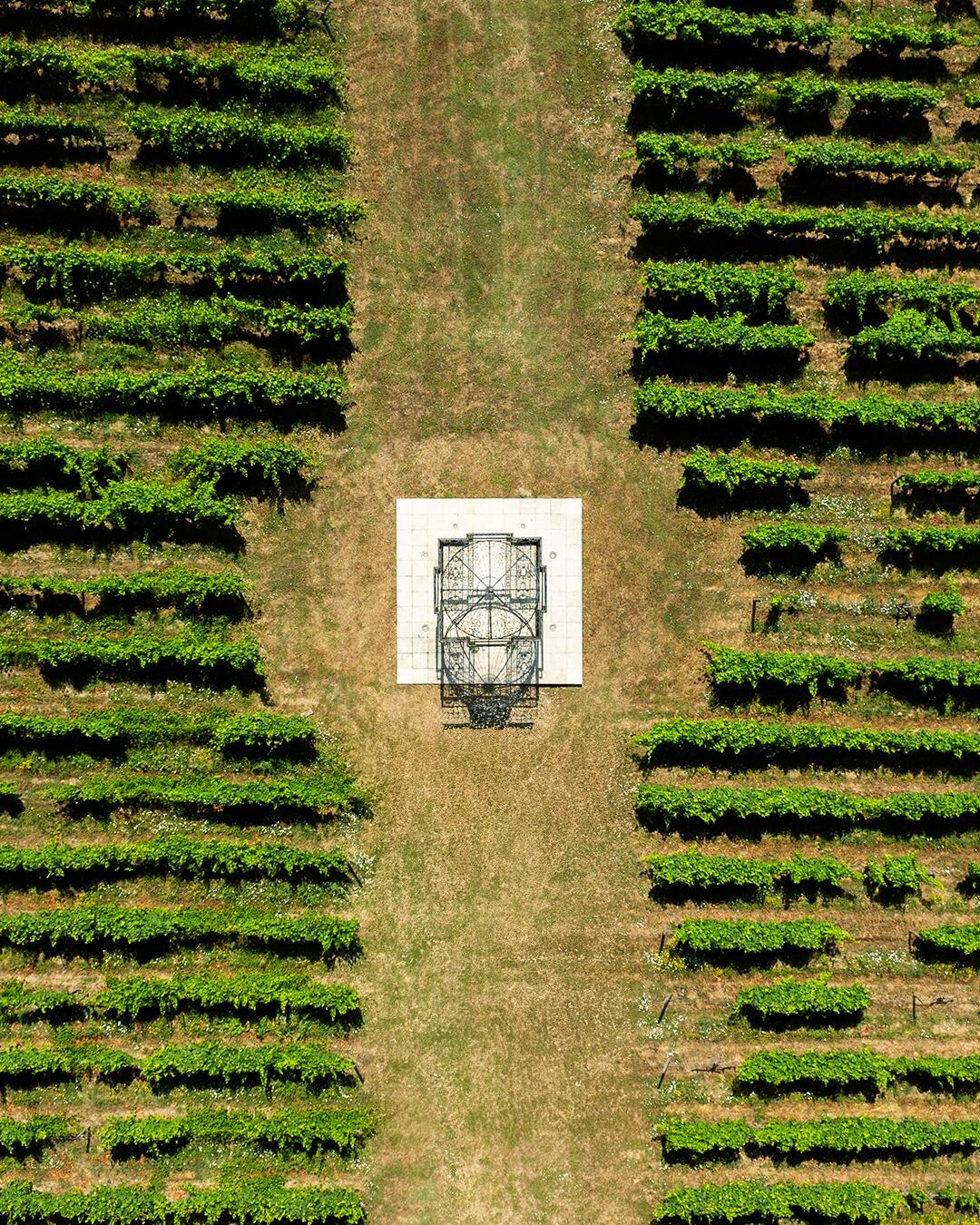 The Manor House – Visita, Prova & Almoço Sensorial