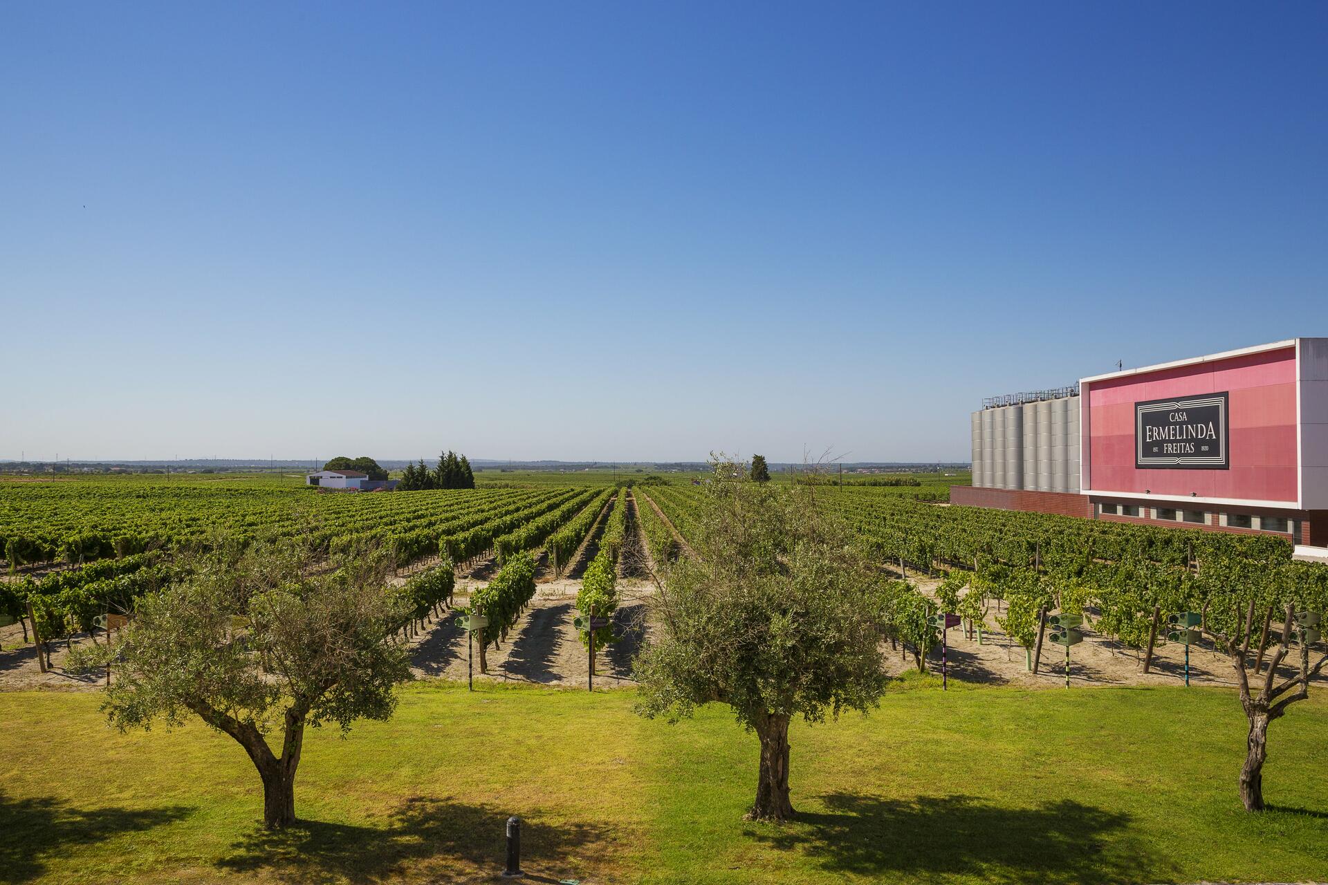 Casa Ermelinda Freitas – Visita & Prova Premium