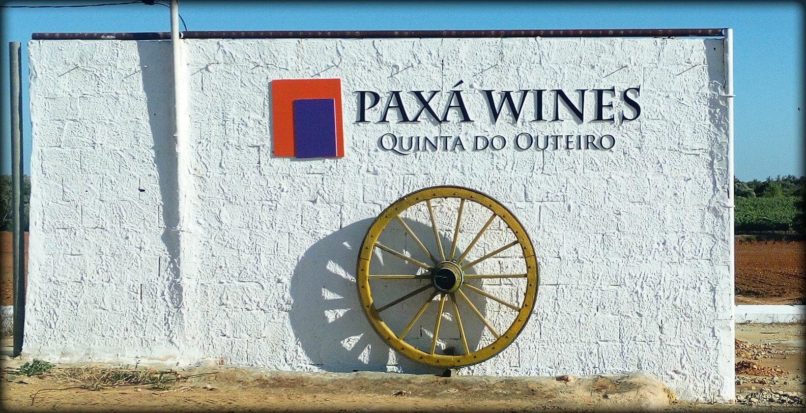 Paxá Wines – Visita & Prova Premium